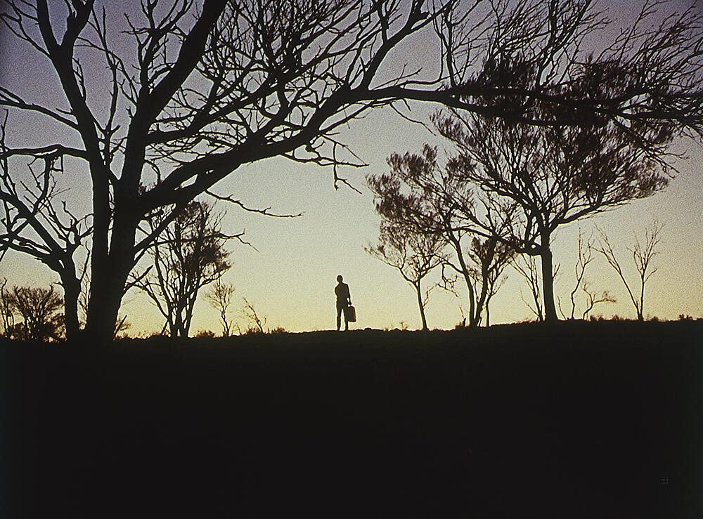 Wake in fright