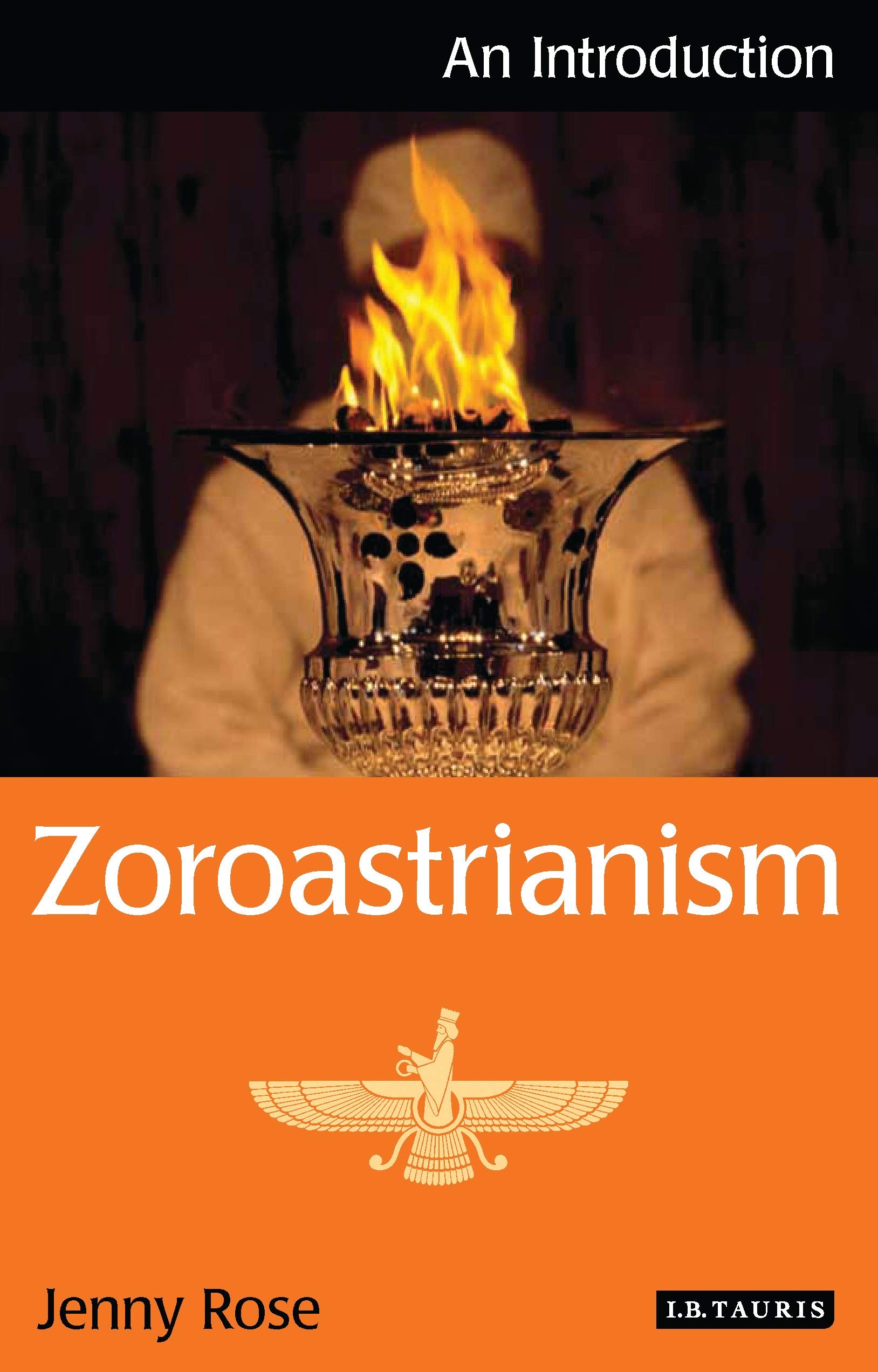 Zoroastrianism: An Introduction (I.B.Tauris Introductions to Religion) (English Edition)