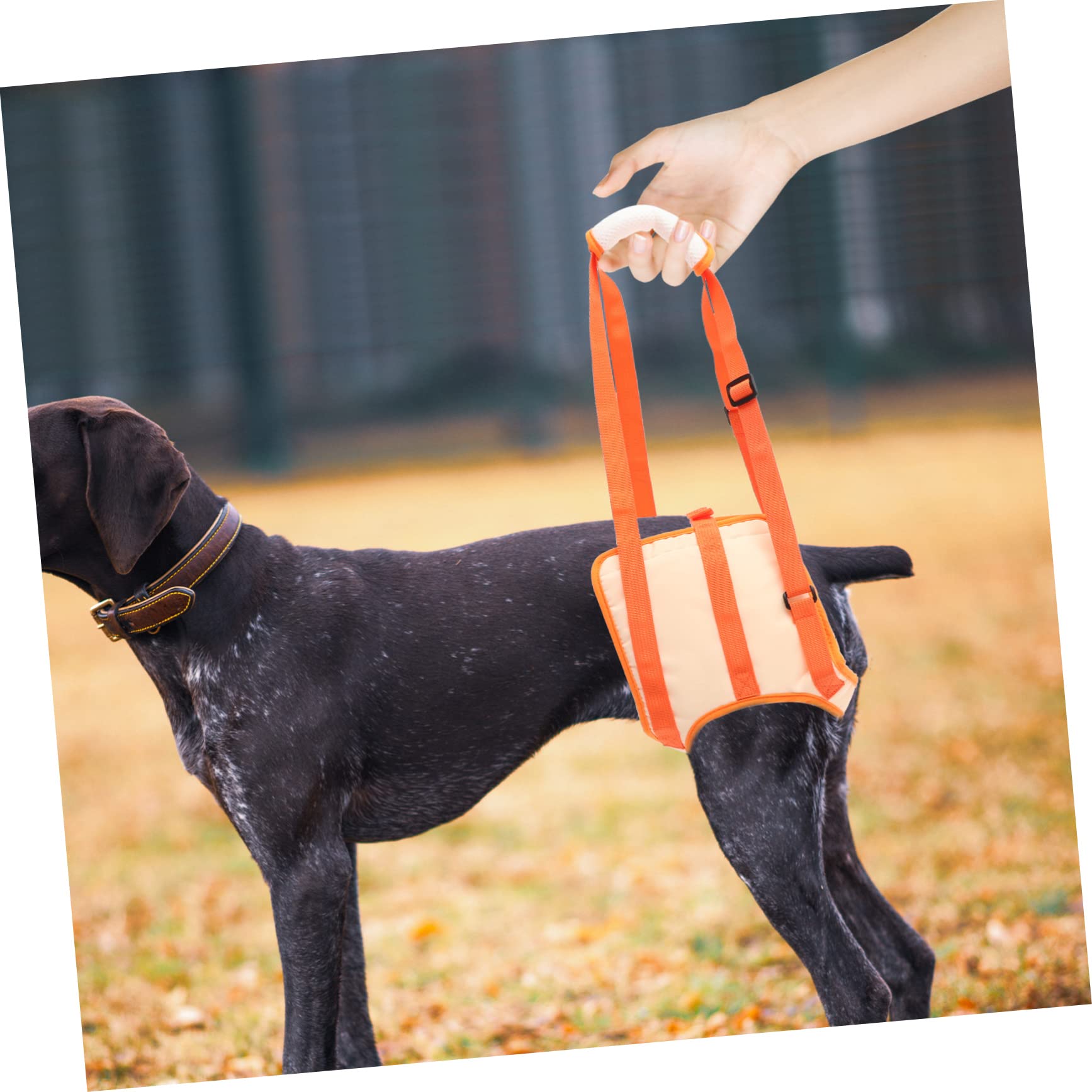 BESPORTBLE 3pièces De Levage pour Chiens Ceinture De Soutien Arrière pour Réhabilitation Canine Sling De Soutien pour Animaux De Compagnie Tour Tour De Jambe
