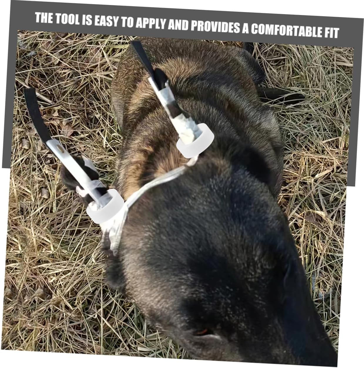 YARNOW Dog Ear Stand up Support Tool with Tape Adjustable Vertical Holder for Large and Small Breeds Pet Ear Care Kit 3.54X2.75X2.36 Inches