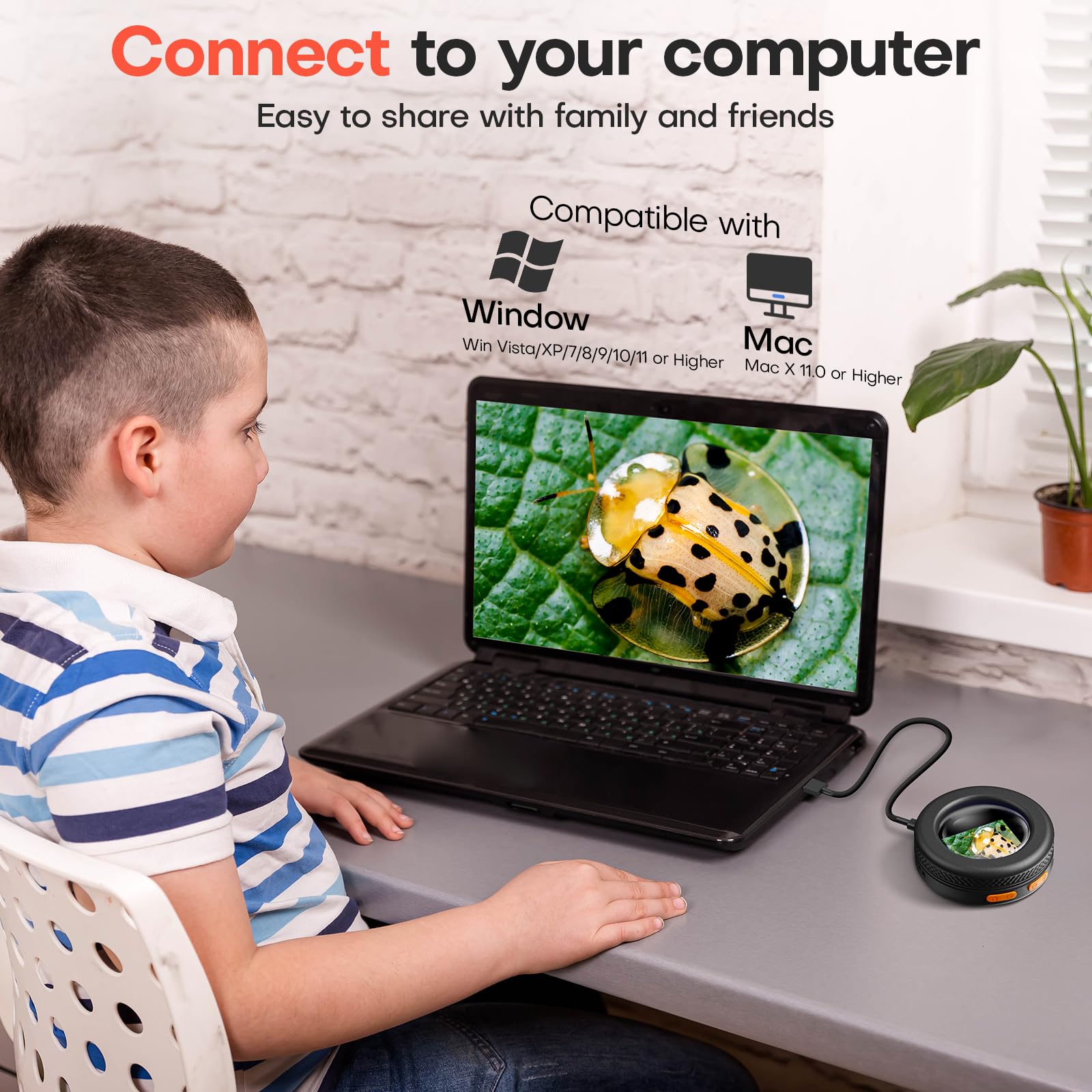 Mini Microscope numérique Portable pour Enfant: électronique Microscope de Poche 500X avec écran HD 2", éclairage LED, Loupe Portatif - Scientifique Cadeau STEM pour Enfant 5-12