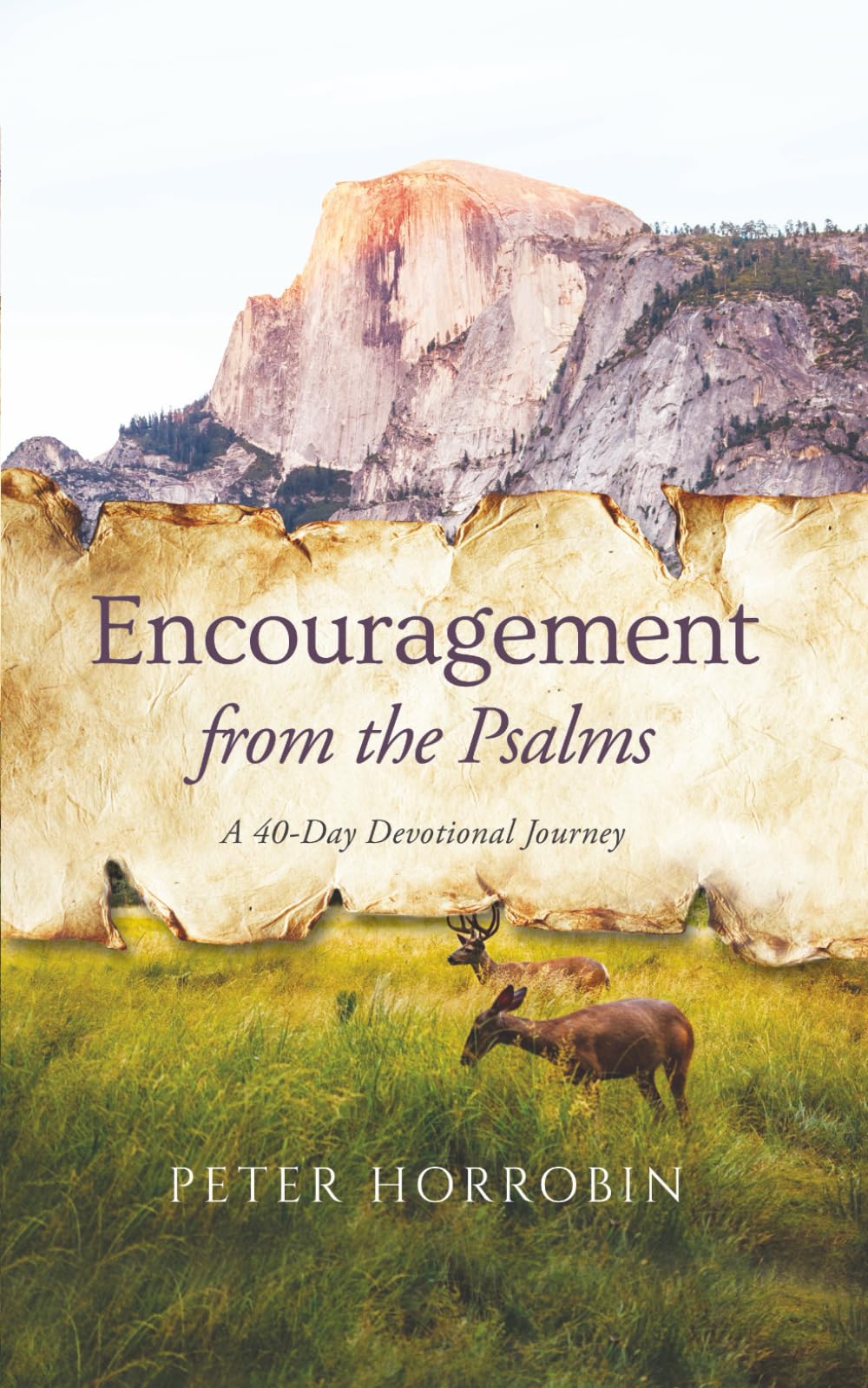 Encouragement from the Psalms: A 40-Day Devotional Journey (Peter Horrobin's Devotional Journeys)