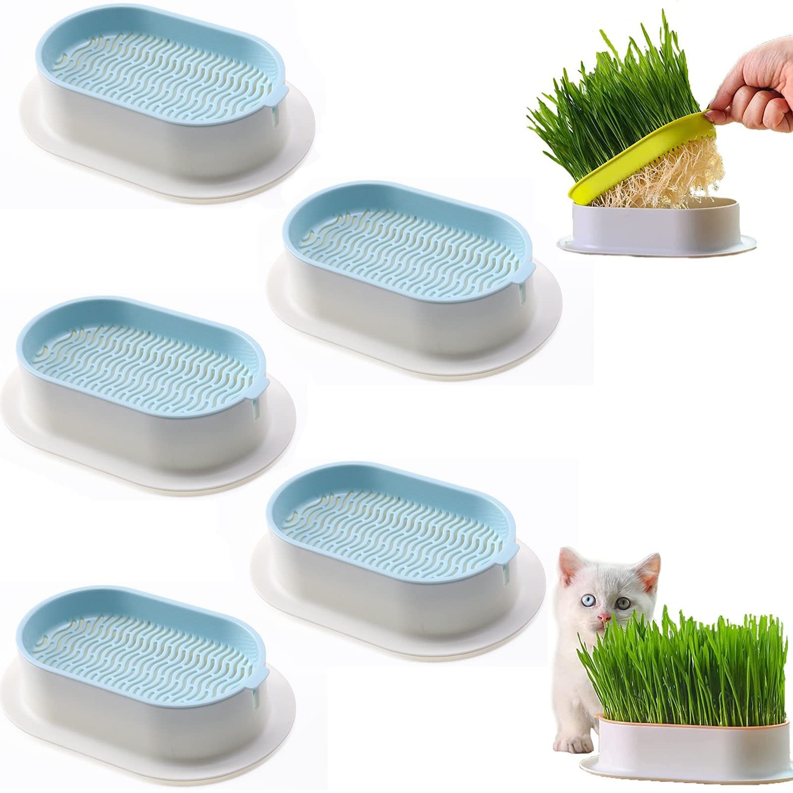 Amazon.co.jp: 猫草プランター 猫草キット 猫草育成キット 土なし培養 