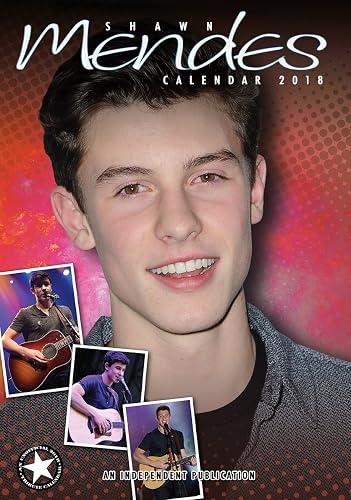 Shawn Mendes A3 2018 Poster Calendar