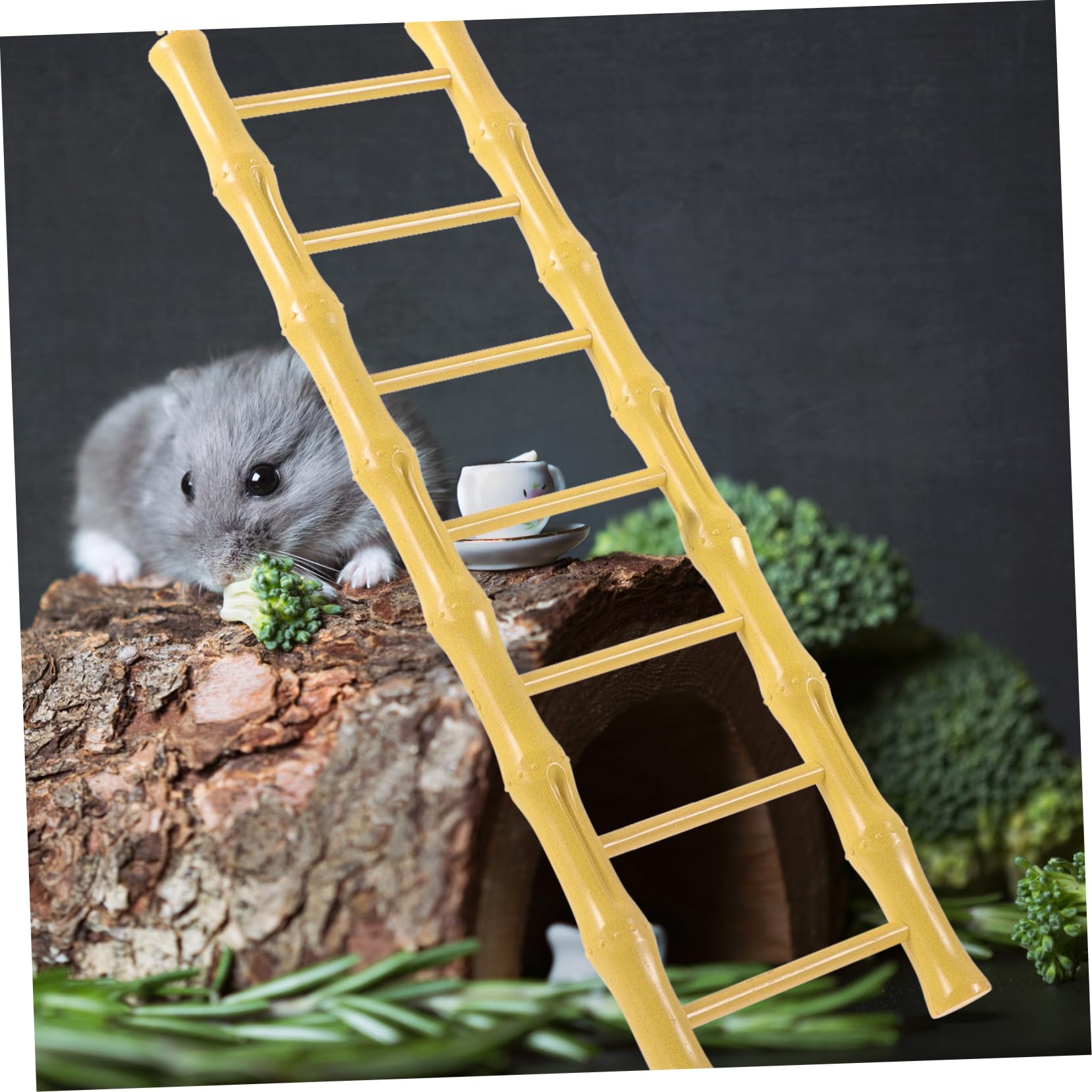 COLLBATH Lot De 4 Échelles pour Hamsters Jouets pour Oiseaux Échelle Descalade pour Cage À Hamster