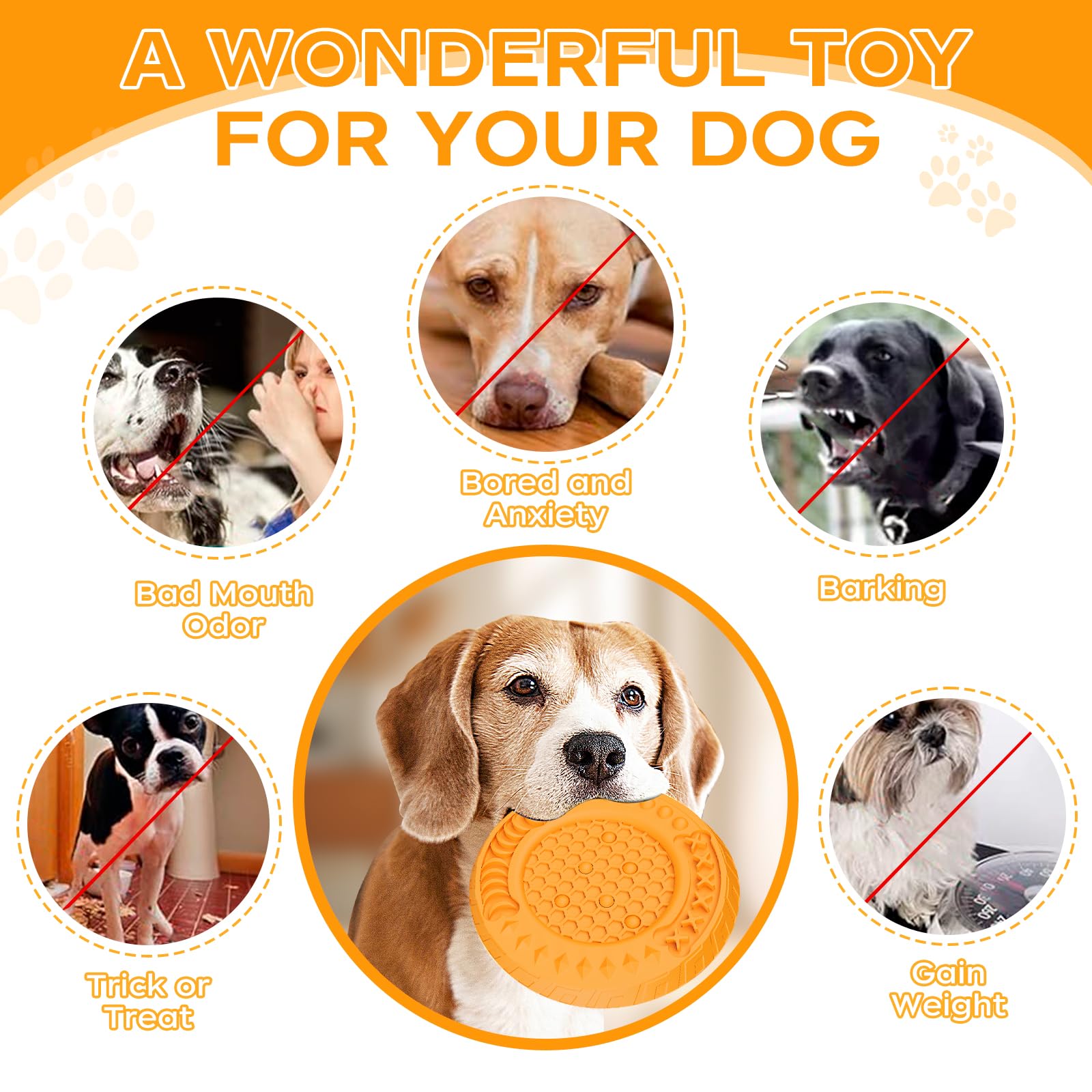 2 Giocattoli Galleggianti Per Cani - Manicotto In EVA Con Corda, 30cm, Per Addestramento E Gioco - Foto 4