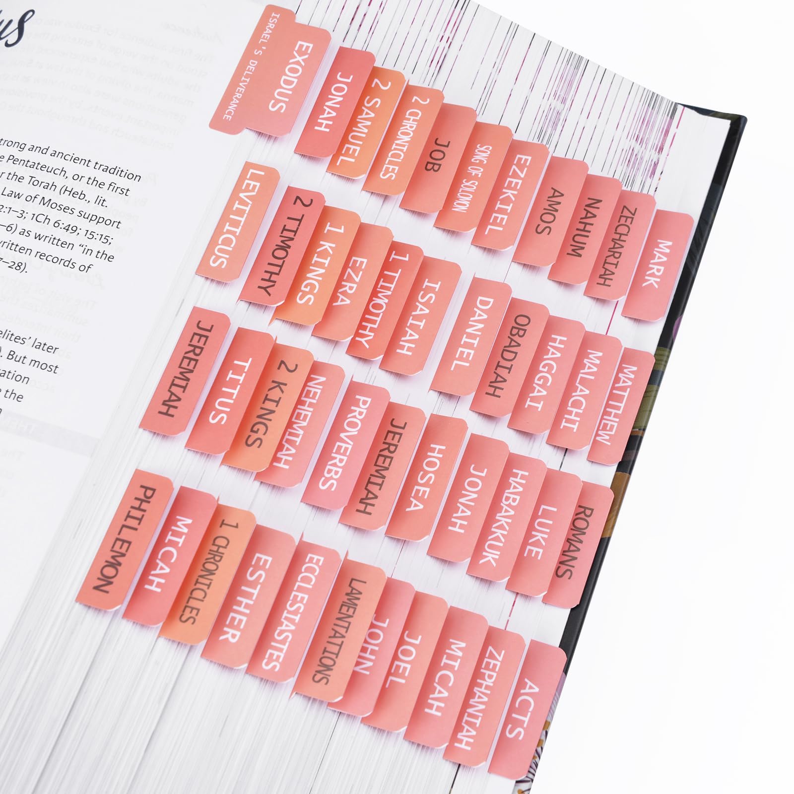 Bible Tabs, 72 Bible Tabs for Women Study Bible, Laminated Bible Index Tabs, Easy Navigation and Apply, Bible Book Tab for Christian Gift (Pink Theme)