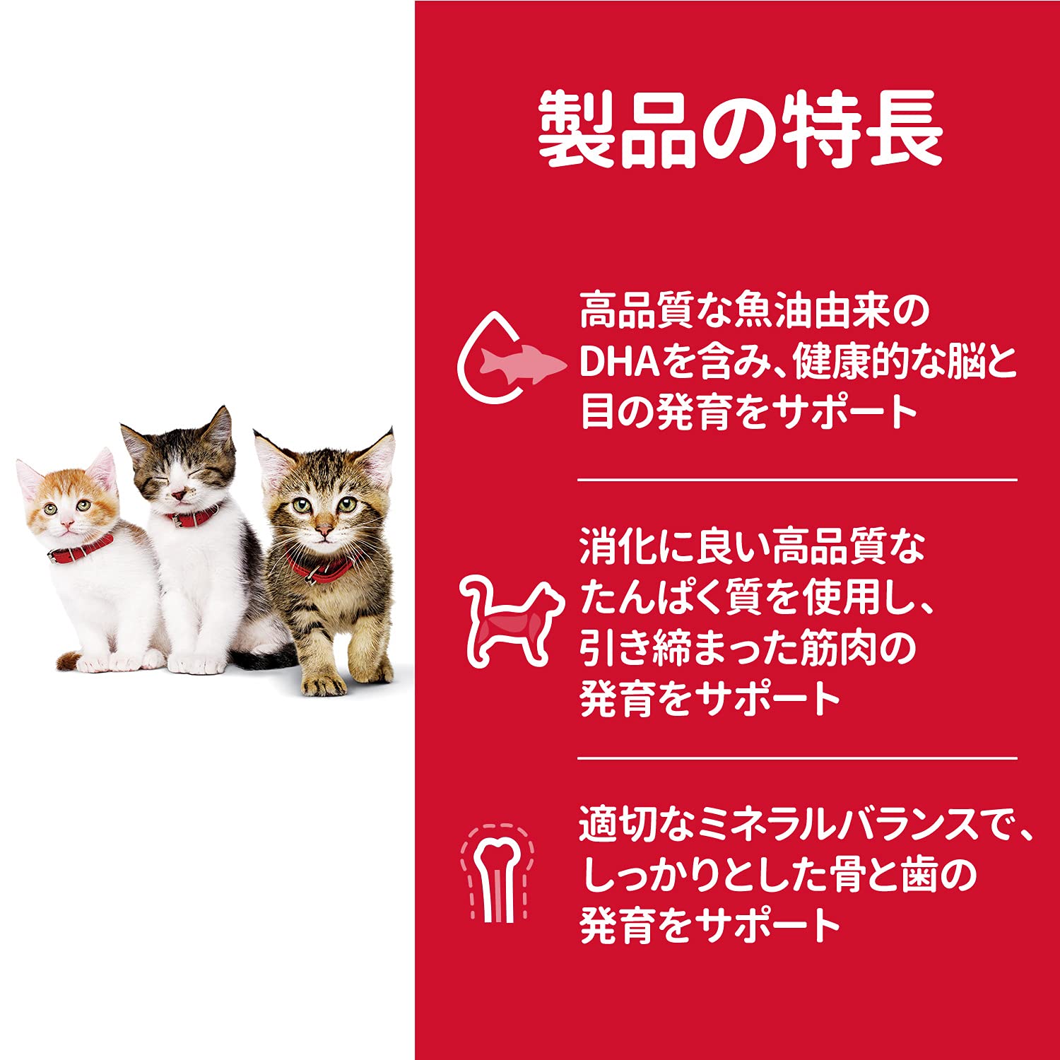 サイエンスダイエット キャットフード キトン 猫用 12ヶ月まで チキン