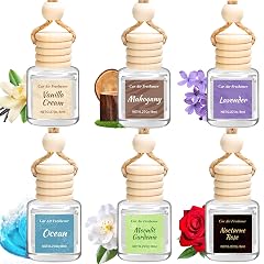 6 Pack Car Air Freshener - Mothers Day Gift for Her Hanging Air Freshener Essential Oil Diffuser Romantic