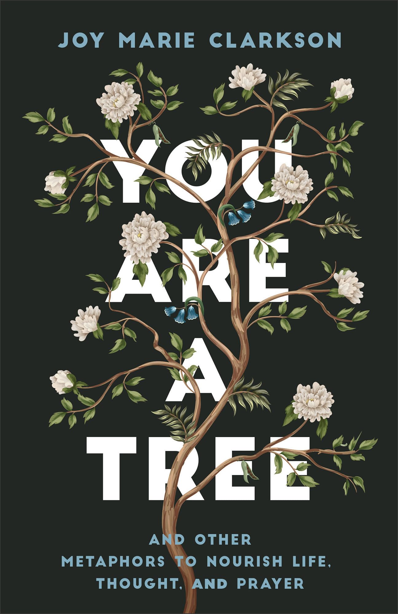 You Are a Tree: And Other Metaphors to Nourish Life, Thought, and Prayer--A Contemplative Meditation on Language in Scripture and Poetry to Find Meaning and Understanding in Our Words