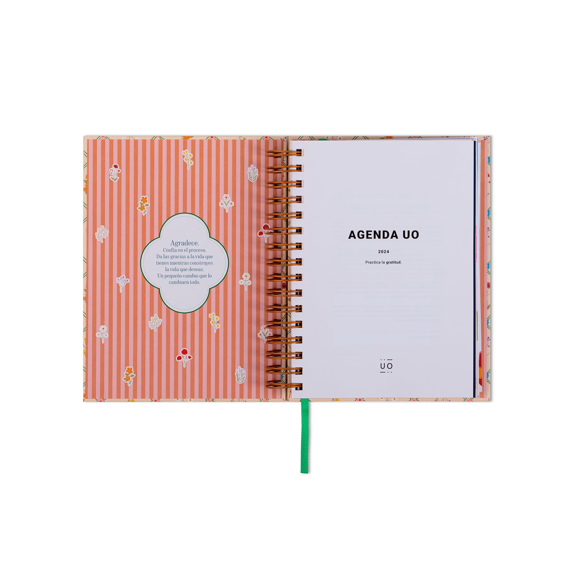 UO Annual Diary In the Flower of Life Day Page: Starts in January 2024 and ends in December 2024, Hardcover - Image 2
