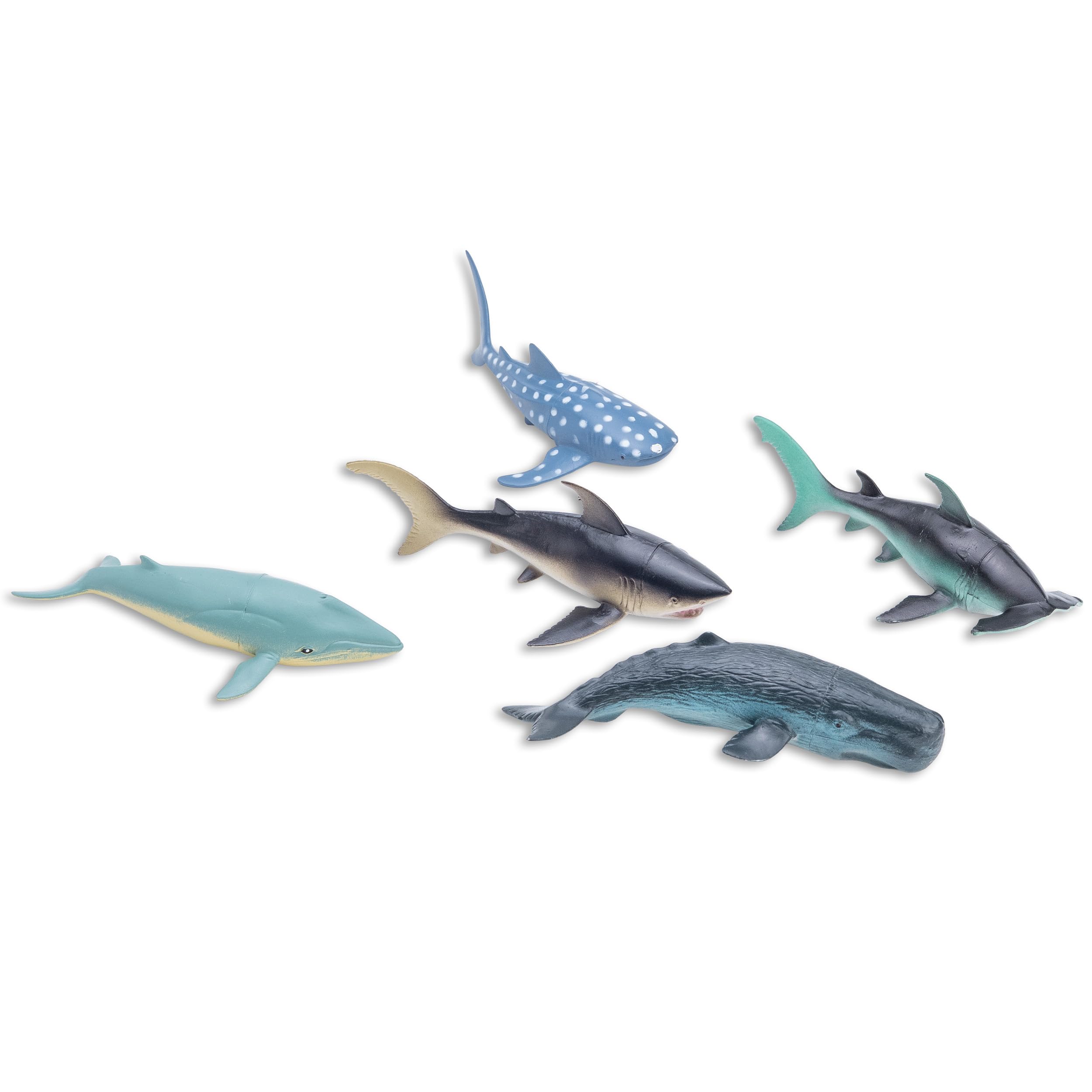 Amazon.com: Animal Planet 45-Piece Ocean Animal Toy Set – Sea Life