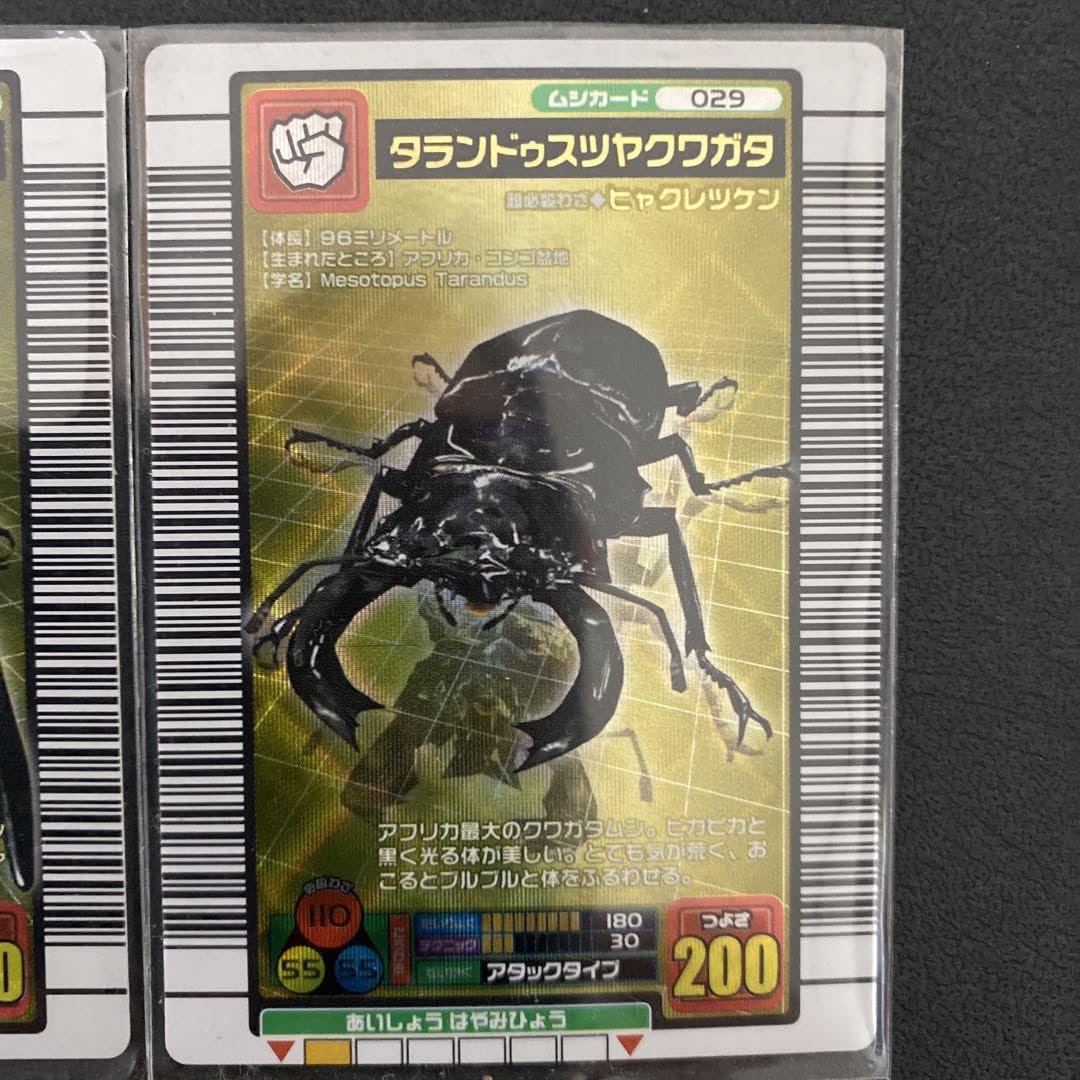 Amazon.co.jp: ムシキングカード タランドゥスツヤクワガタ(左右