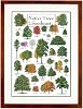 Earth Sky + Water - Native Trees of the Southeast - Double-matted Posters with Honey Frame