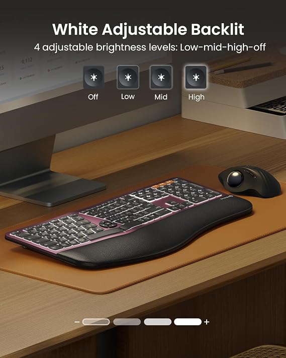 ProtoArc EK01 Plus Ergonomic Keyboard & EM15 Bluetooth Wireless Mouse