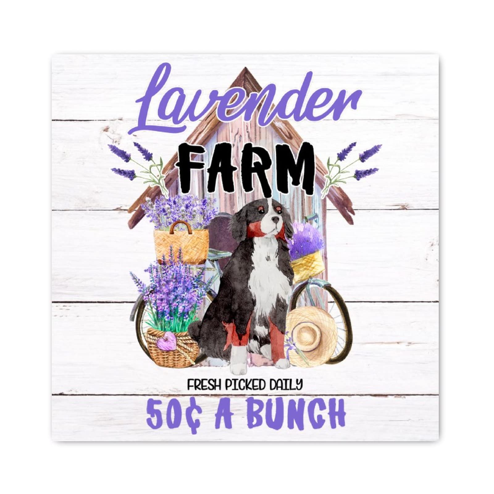 Panneau mural en bois Schnauzer et vélo de ferme décoration 30x30 cm