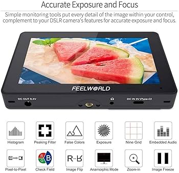 Amazon | FEELWORLD F5 Pro V4 + バッテリー + キャリー ケース