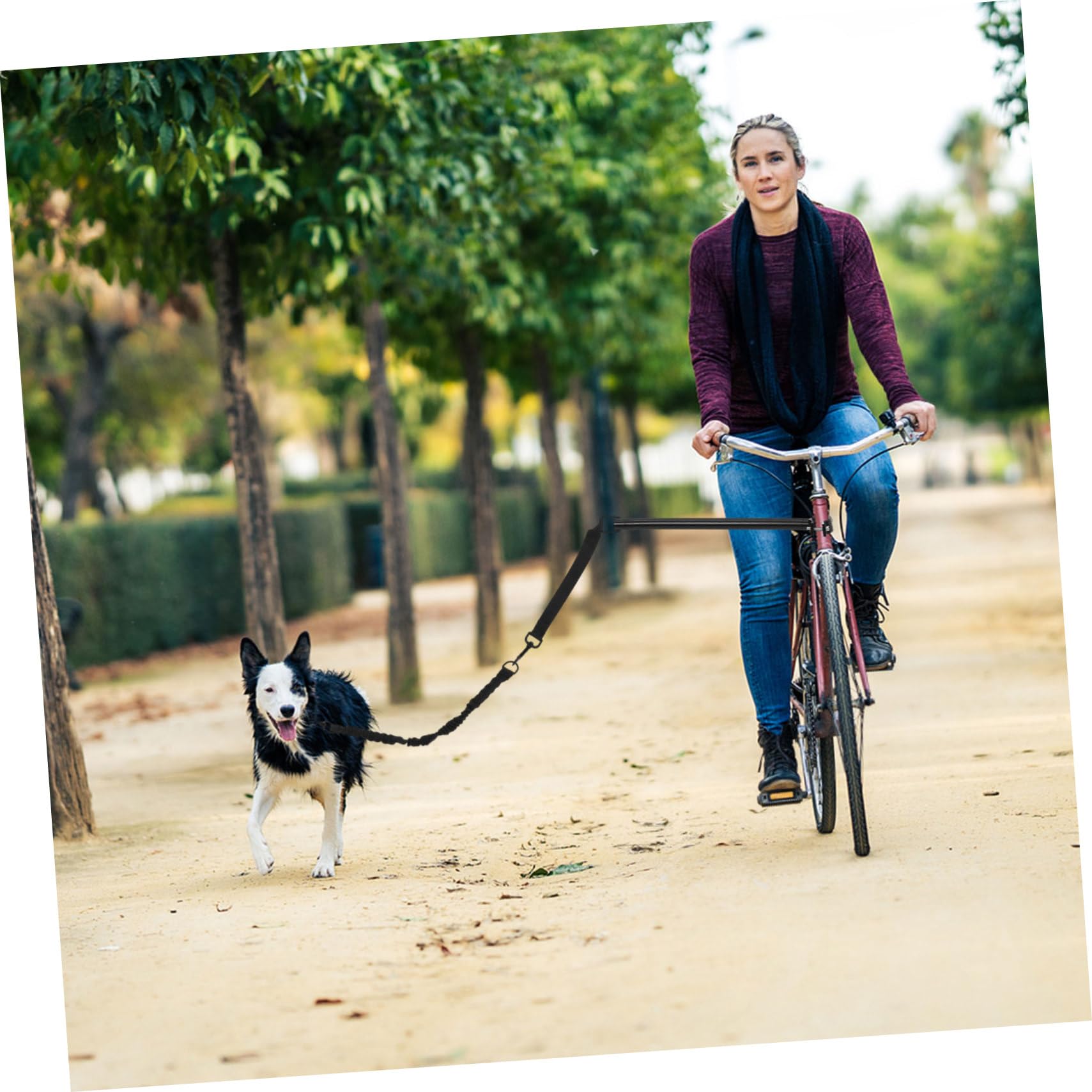 Laisse pour Chien à Fixer Vélo, Noir, Alliage et Oxford