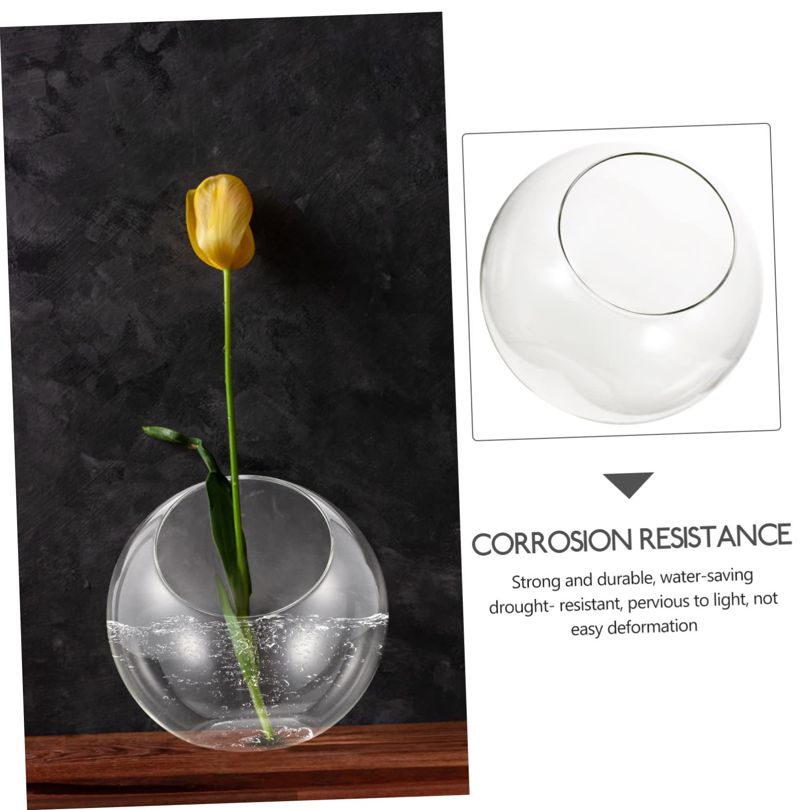 Toddmomy Terrarium in Vetro Trasparente a Bocca Obliqua, Vaso Decorativo Fai-da-te per Piante Grasse e Bromelie, Elegante per Matrimoni e Compleanni