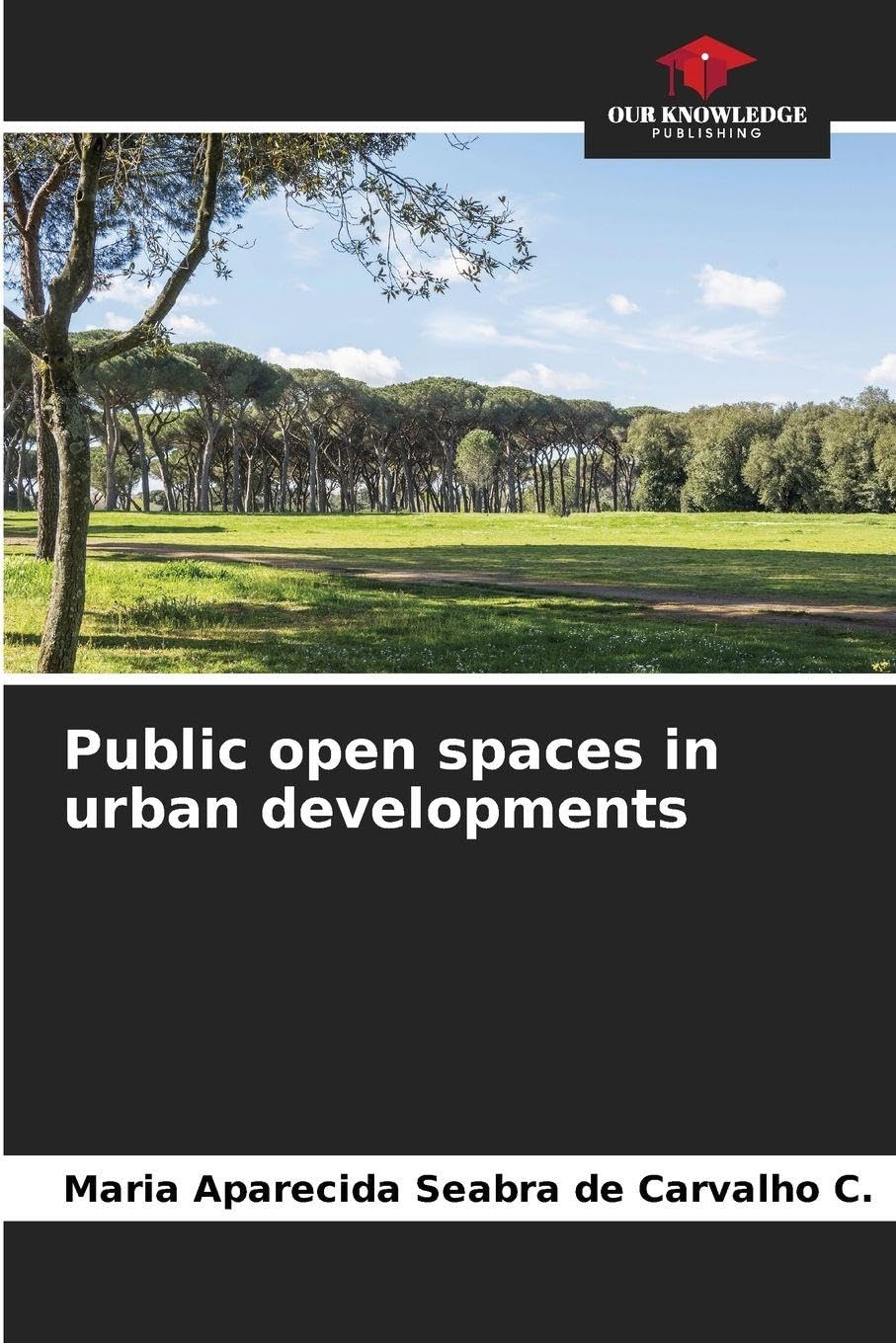Espaces publics urbains guide d'aménagement et design de paysage moderne