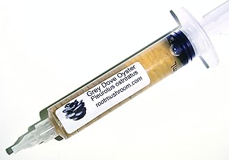 Root Mushroom Farm- Mushroom Liquid Cultures/Grey Dove Oyster(Pleurotus Ostreatus)