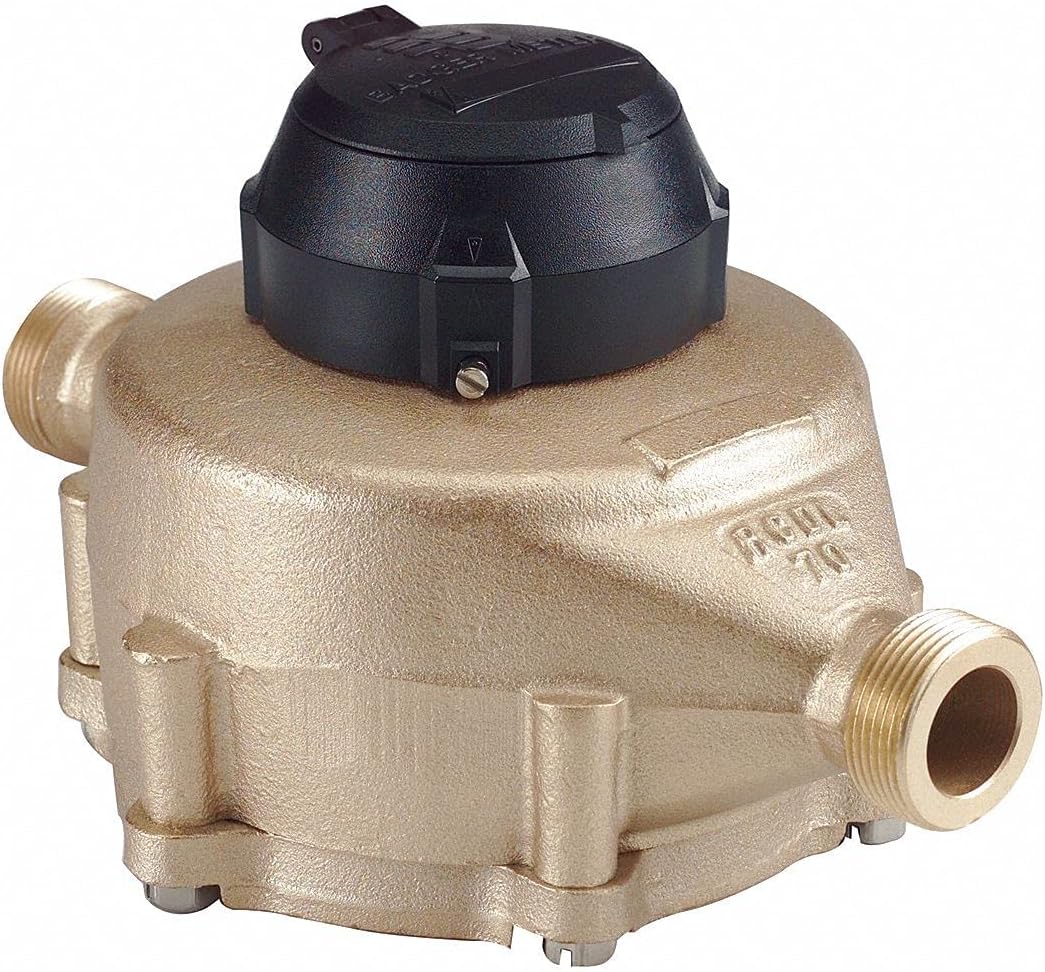 Badger 1 to 70 gpm Positive Displacement Flowmeter - M70-100-L-N-P-C-TS-GA-XX