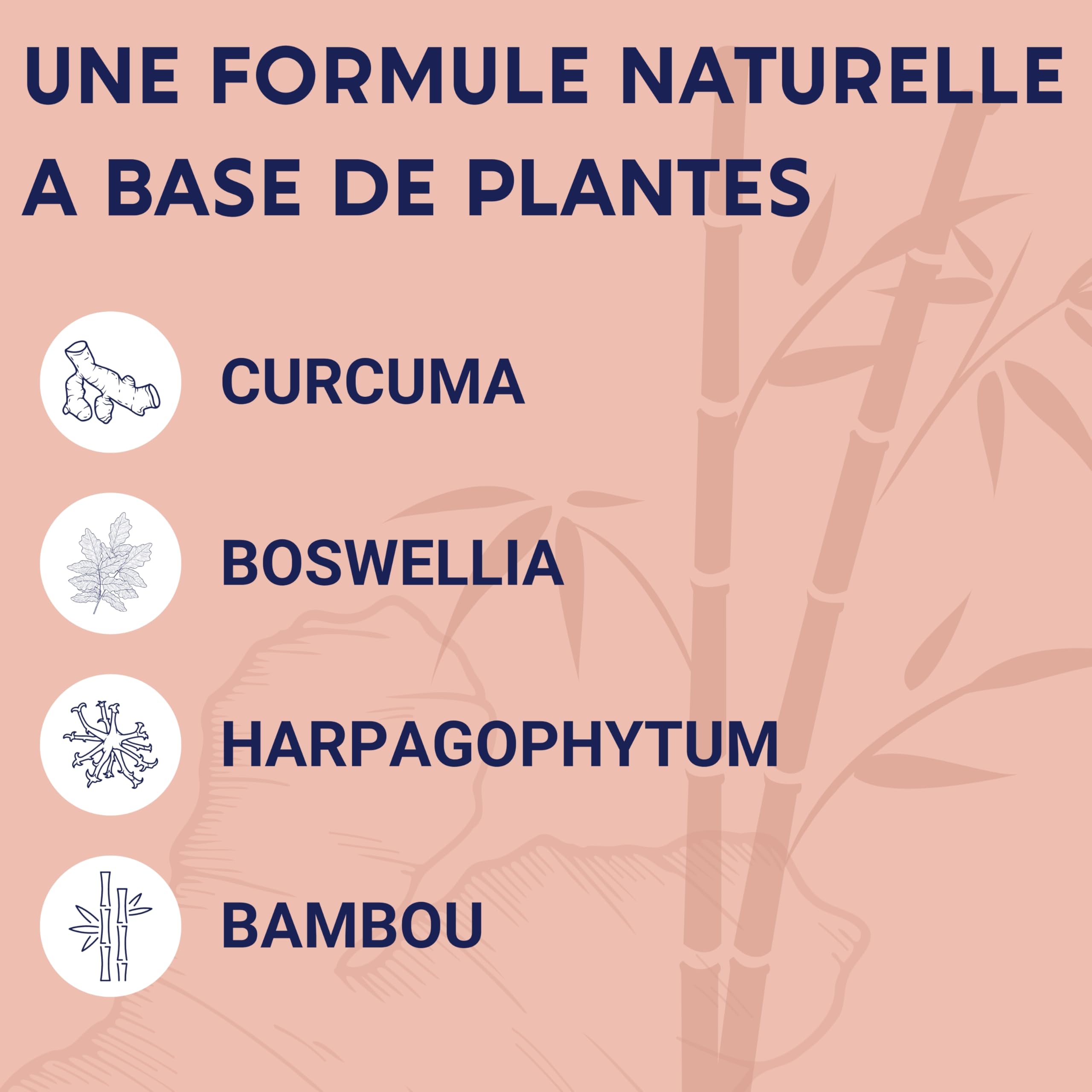 FORMULE ARTICULATIONS | Curcuma, Harpagophytum, Boswellia Serrata, Bambou | Articulations, Souplesse, Mobilité | Complement Alimentaire 100% Naturel | 60 Gélules | Fabriqué en France