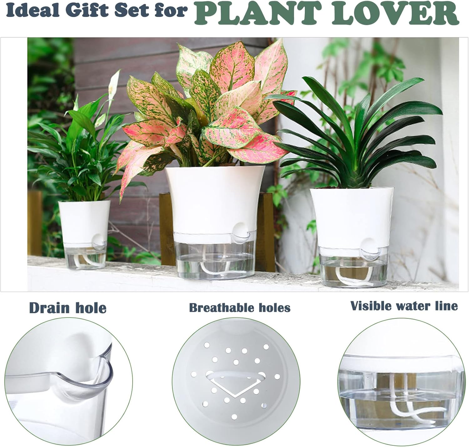 6-Pack 6" Clear Self Watering Pots for Indoor Plants Large Hexagon Self-Watering Planters Orchid Pots Plastic Wick Flower Plant Pots for African Violet, Spider, Herbs, Home Decor, White and Clear