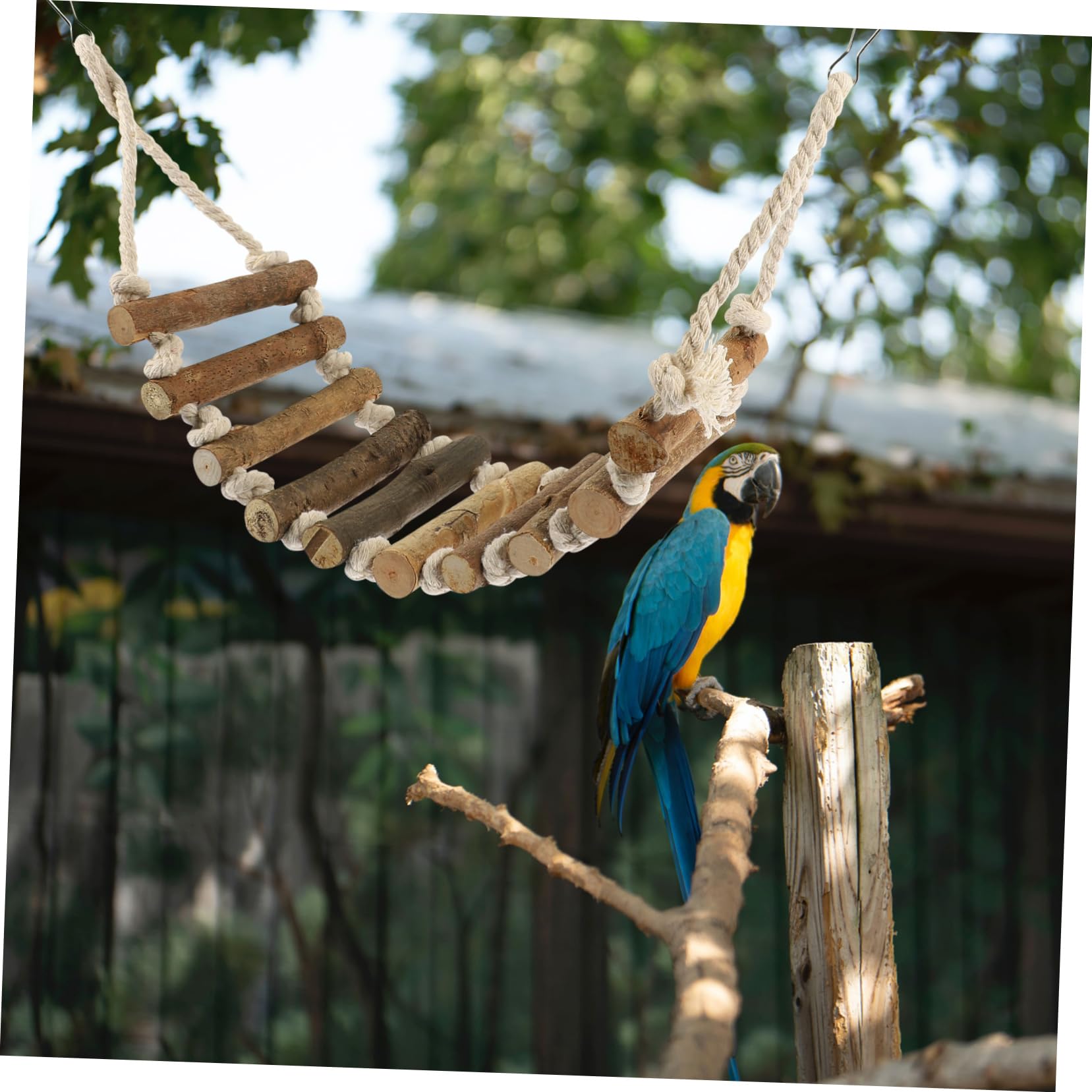 GRIRIW Parrot Hanging Ladder Bird Ladder Toys Natural Wood Rope Parrot Accessory
