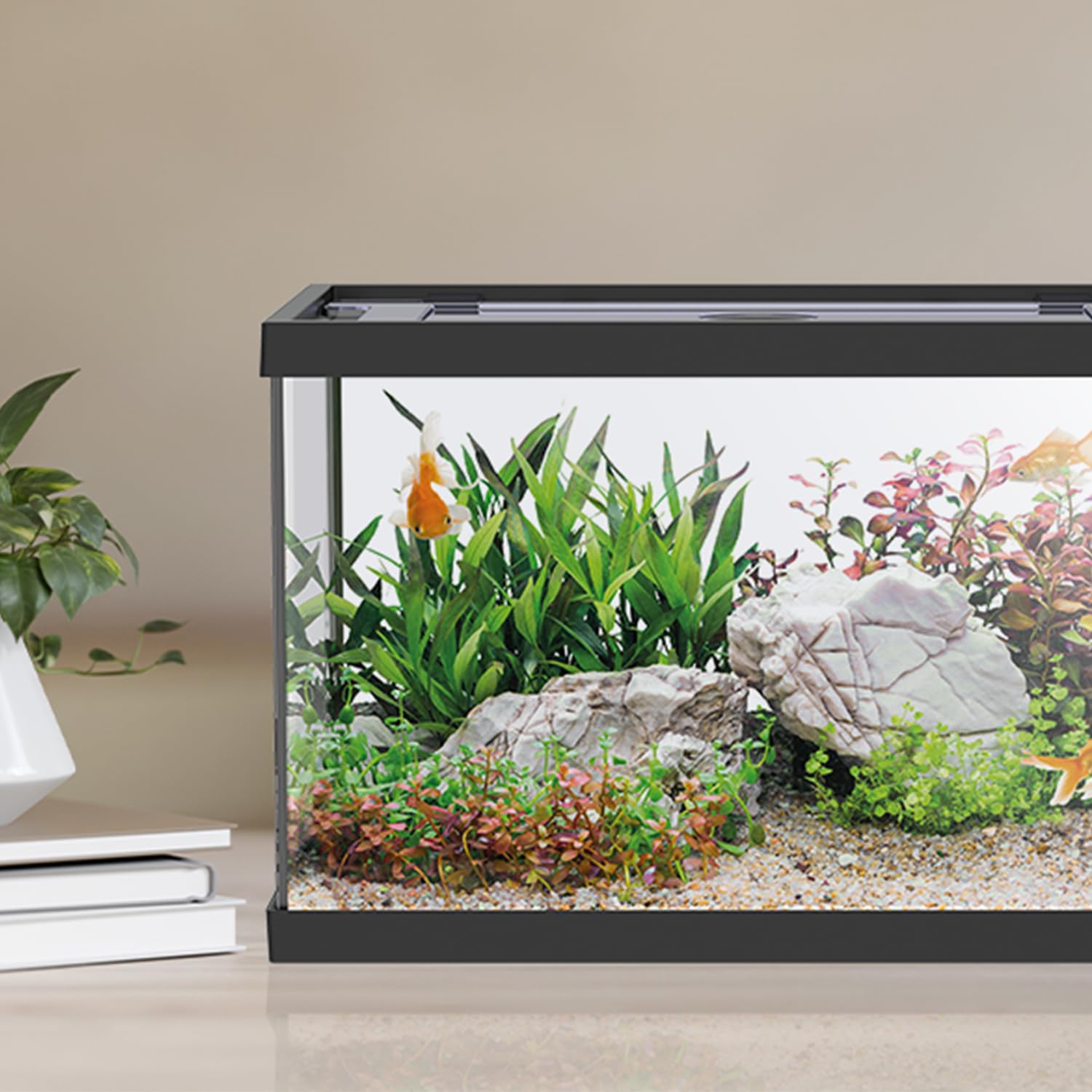 Acquario in Vetro ONE Completo di Accessori Filtro Sabbia Arredo Colore Nero 20 Litri