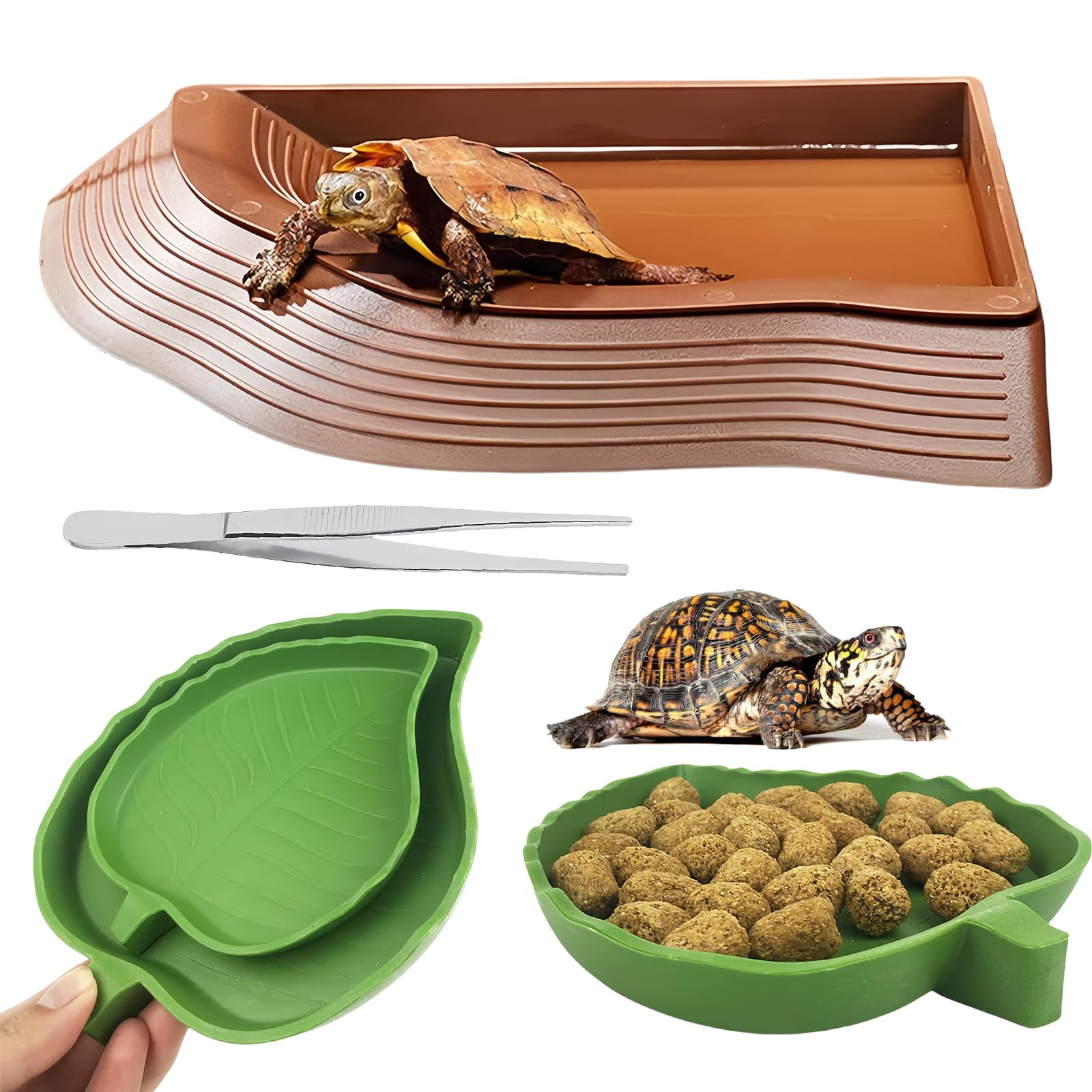 4 in 1 SchildkröTen Wasserschale Set, Landschildkröten Zubehör mit 2 Blattförmige Futterschale für Reptilien, Reptilien Wasserschale, Reptilien Wasserspender, Reptilien-Wasserschale für Eidechse