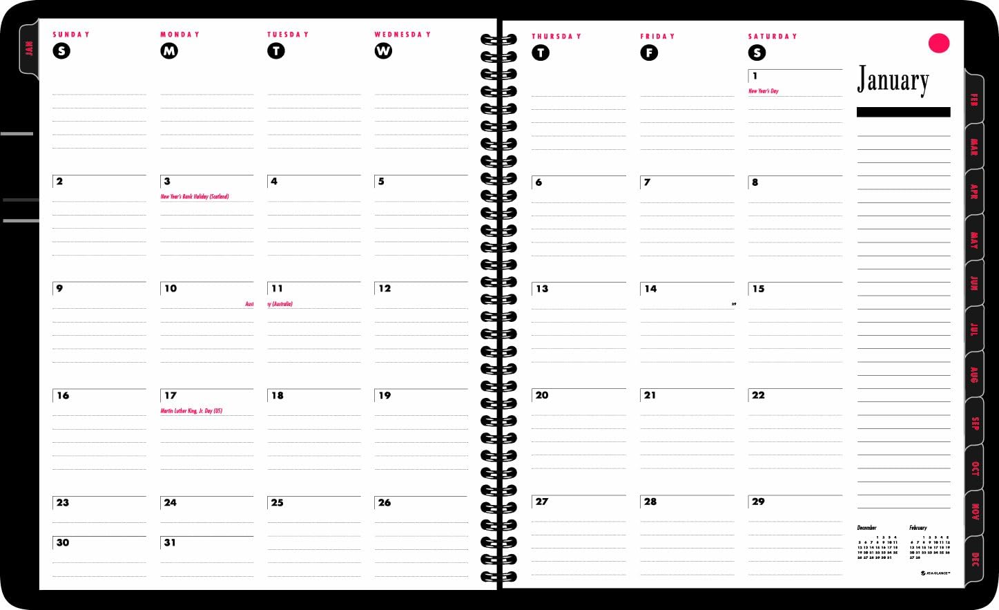 AT-A-GLANCE 2014 800 Range Weekly and Monthly Appointment Book, 9 x 11 x .50 Inches (70-864-05)