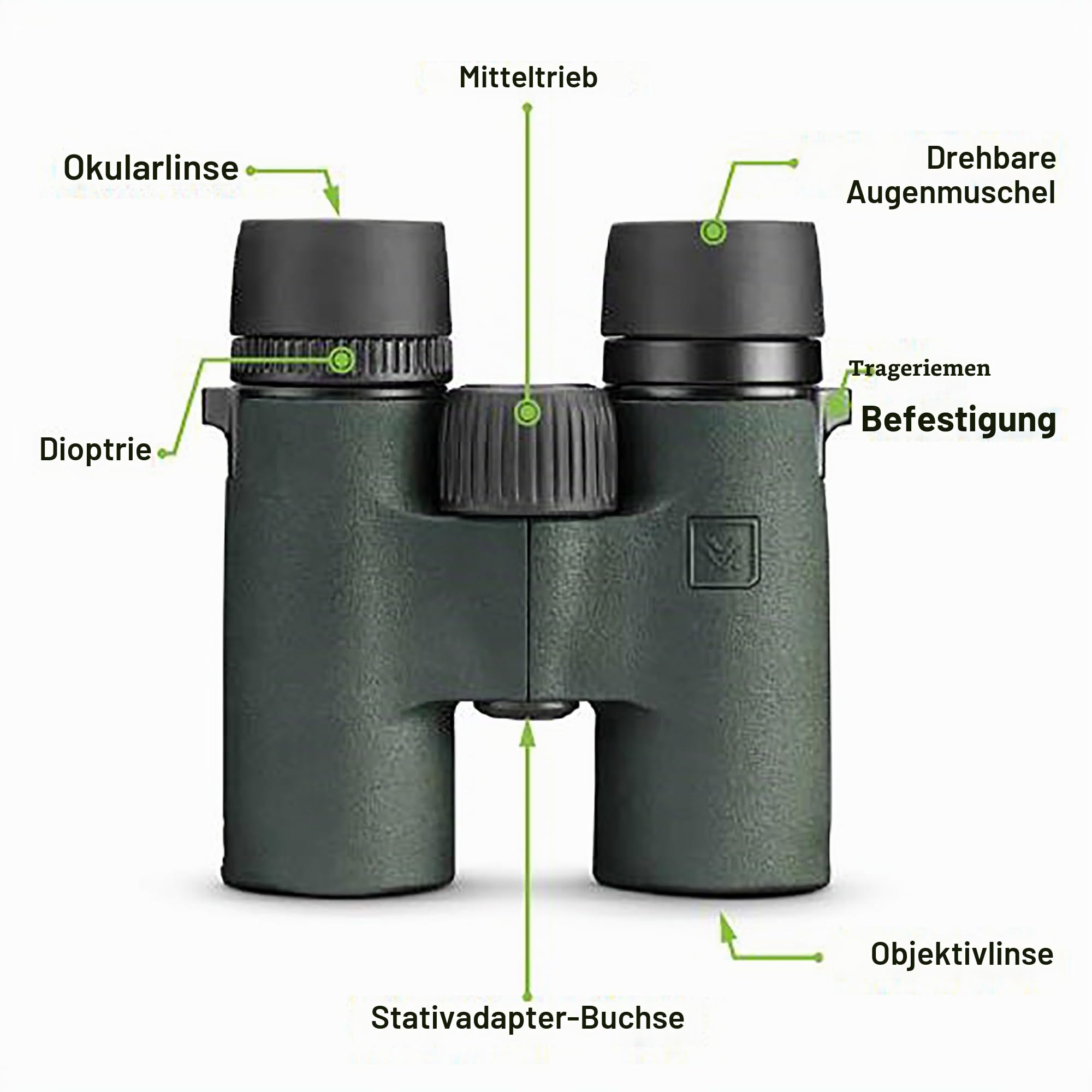 Vortex Optics Bantam HD 6,5 x 32 Jugendfernglas – HD optisches System, XR-Objektivbeschichtungen, Gummiarmierung, Stativ anpassbar, wasserdicht, beschlagsicher, stoßfest