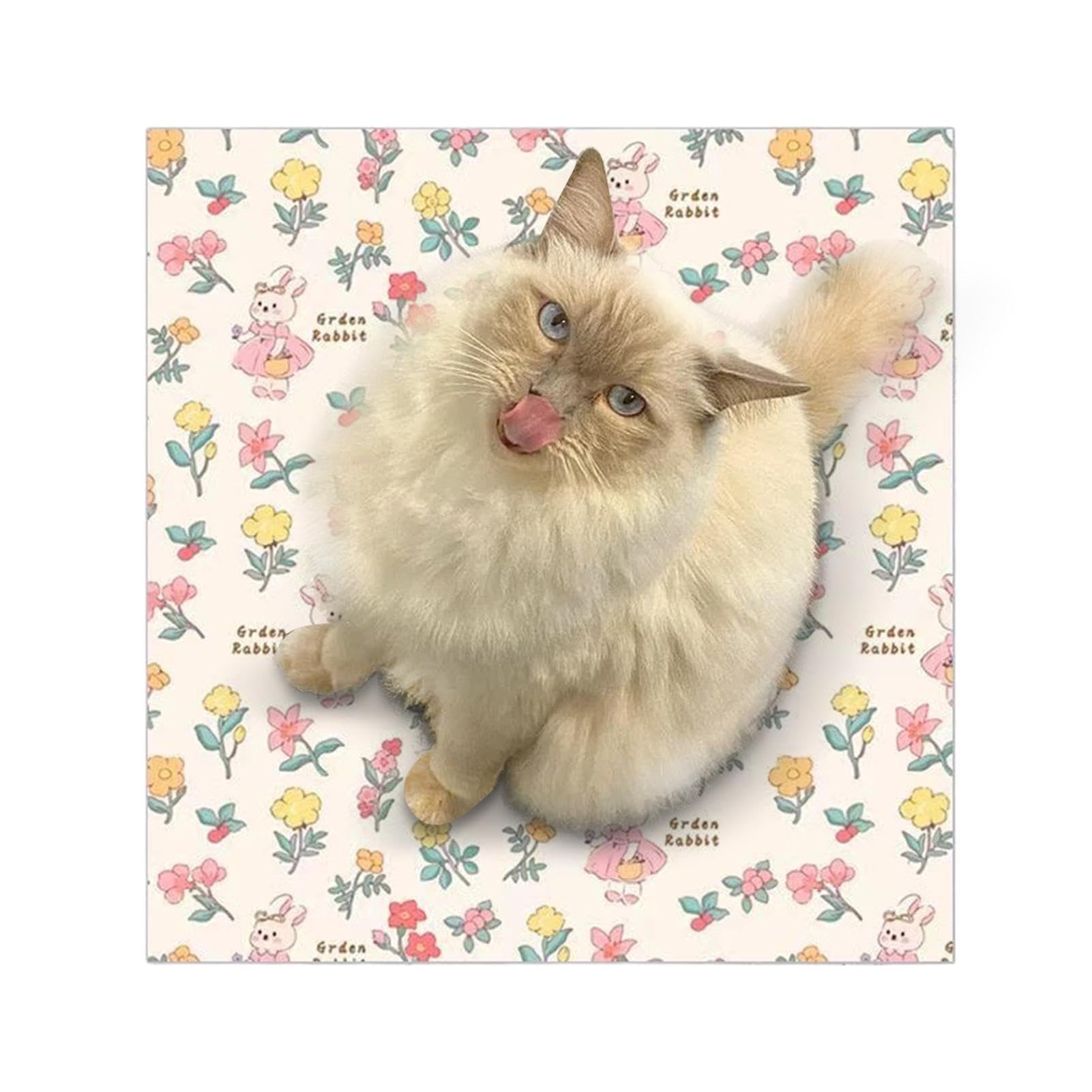 Envoltorio para Gatos Manta Envolvente Multifuncional Suave Adorable para | Sujeción para aseo Transpirable Ajustable Segura Cómoda Antiarañazos Recorte De Uñas Bañ