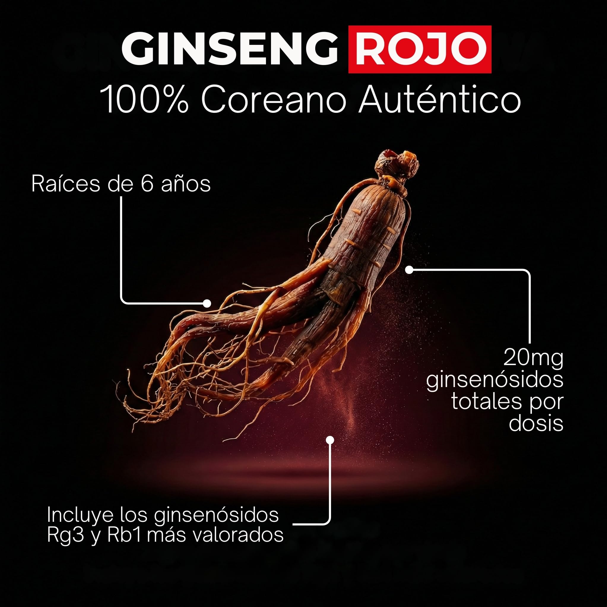 Ginseng Rojo Coreano Puro 1000mg | Panax Ginseng Máxima Concentración en Ginsenósidos | Energía Mental Vitalidad | Adaptógeno Natural | 50 Cápsulas Veganas Estado Puro