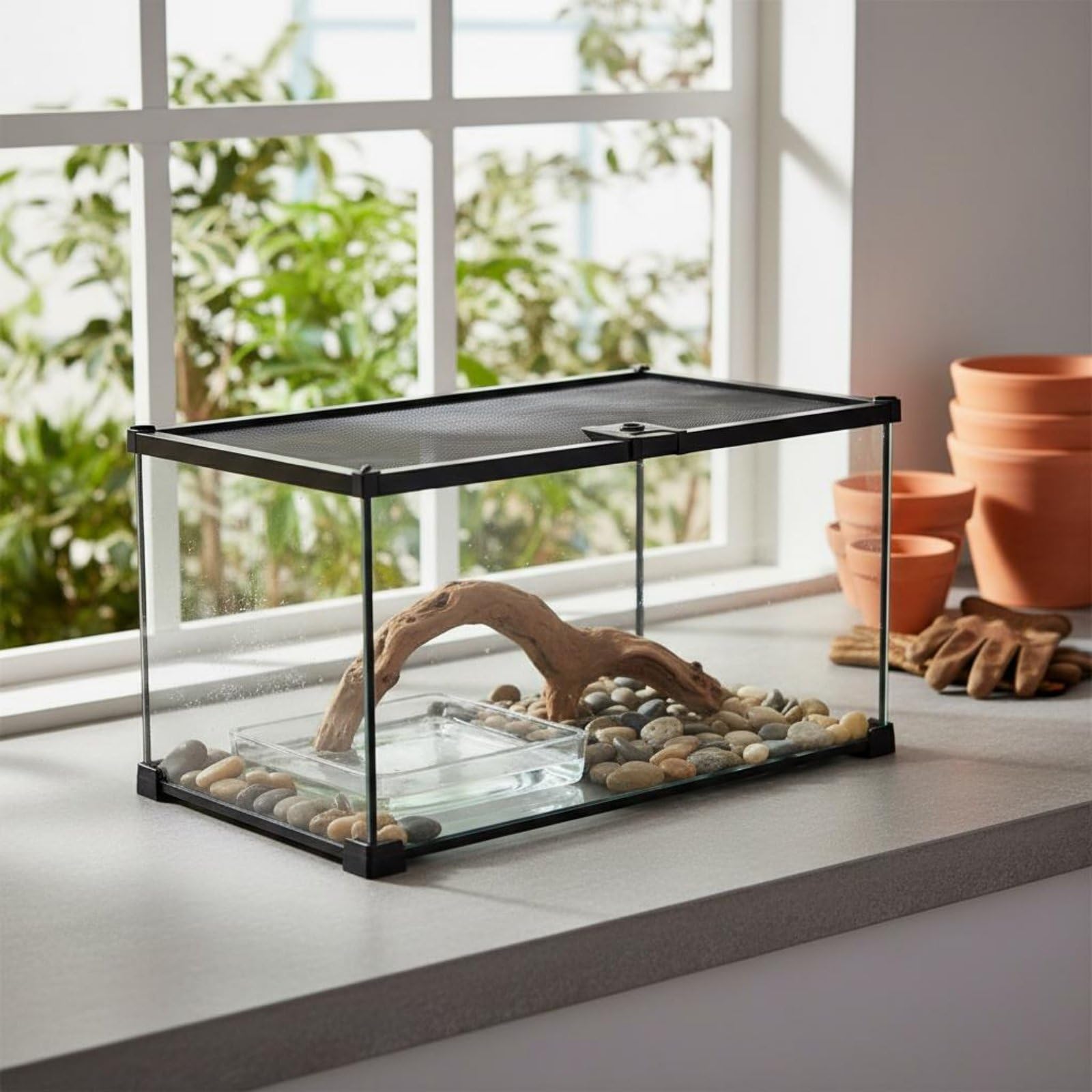 Terrario para Reptiles de Vidrio con Panorámica 360 Grados Diseño Seguro con Tapa de Malla Ventilación Estructura Apilable Adecuado para Serpientes Ranas Tortugas Hogar, 30x20x20cm