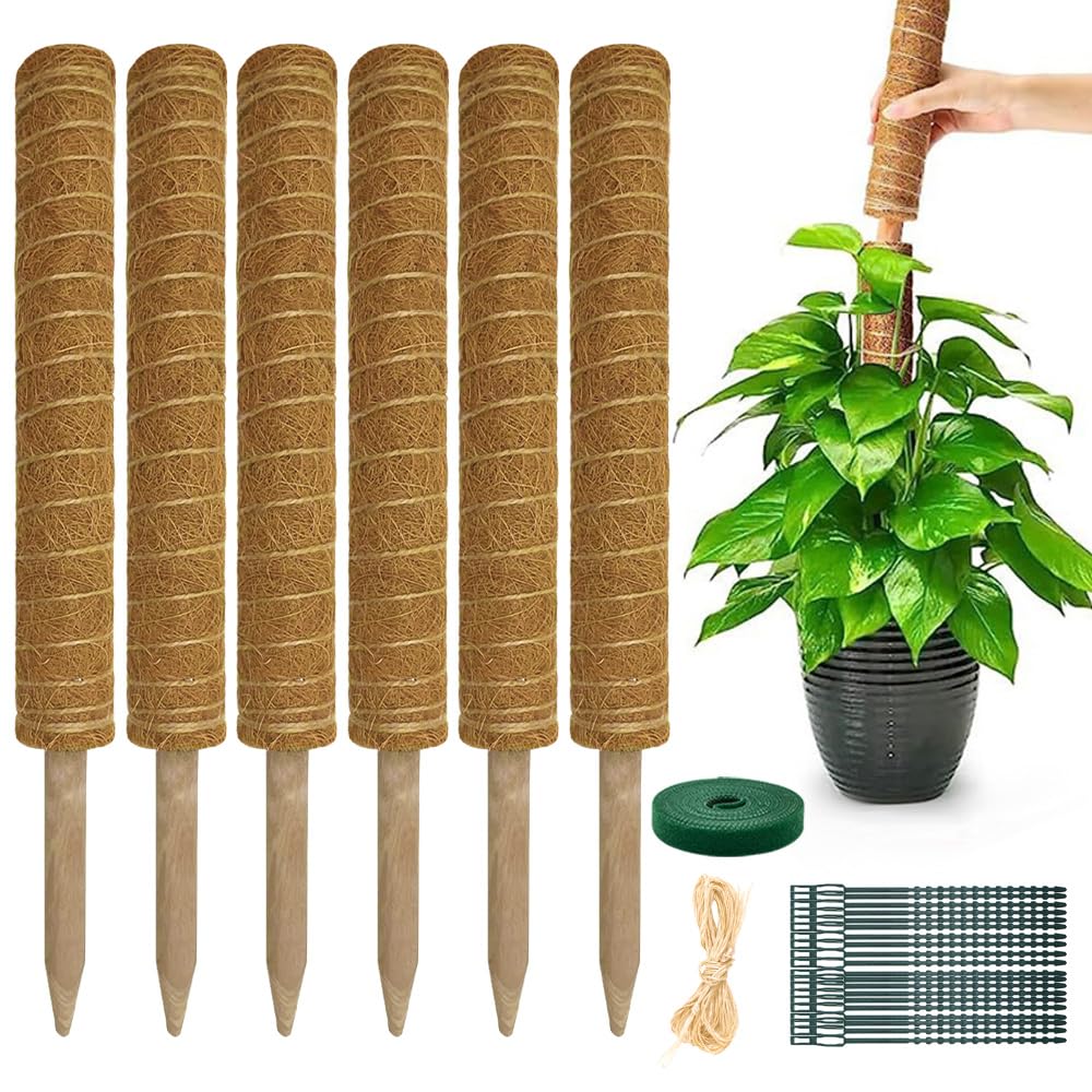 Pflanzen Rankhilfe Monstera Rankhilfe - Erweiterbar Pflanzhilfe Fuer Monstera 6PCS 42cm VerläNgerbar Up To193cm Kokosstab Plant Moosstab Pflanzstab Support Rankhilfe Zimmerpflanzen Plant Support Stick