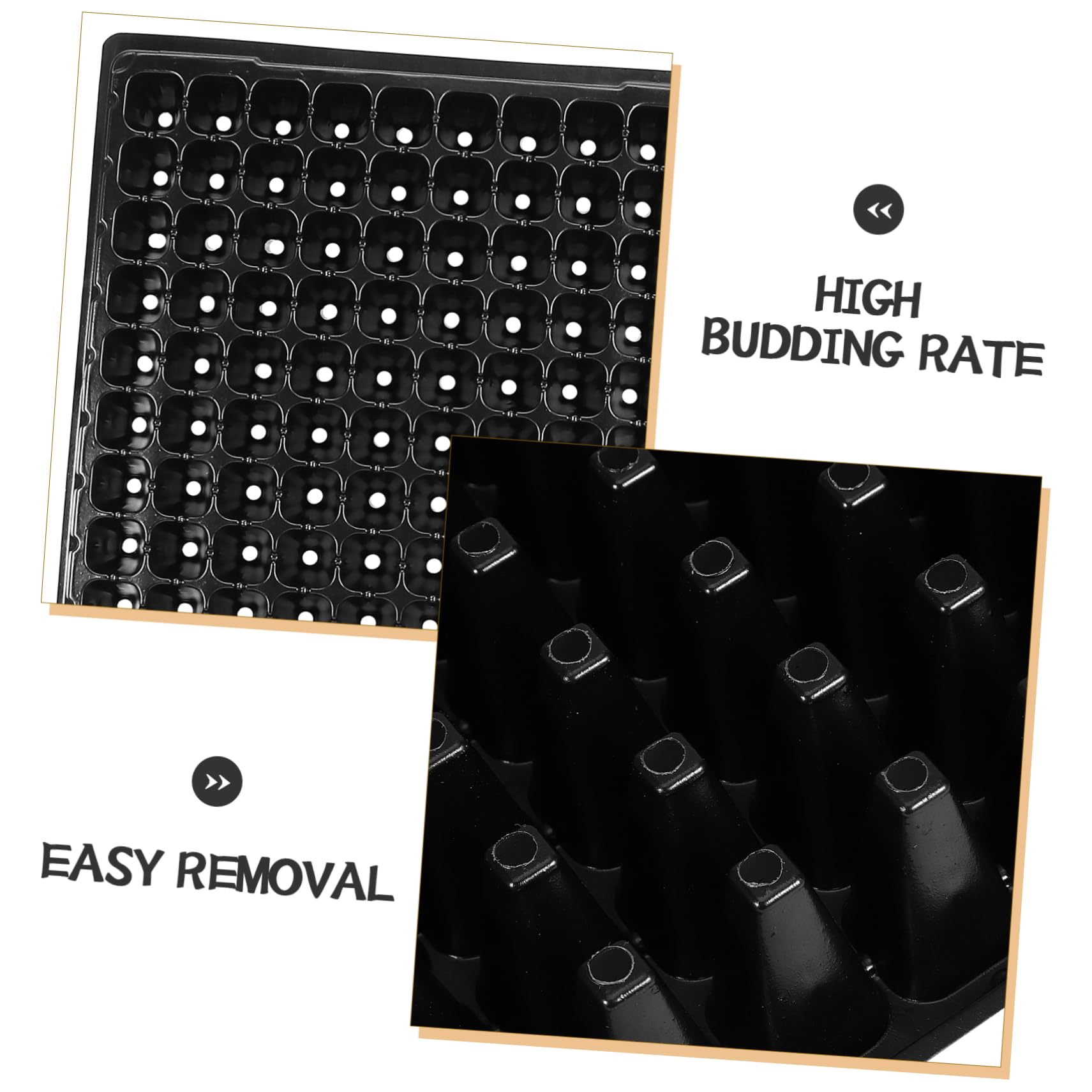 Abaodam Plateau de Semis 10 Pièces 200 Cellules PVC Noir pour Jardinage