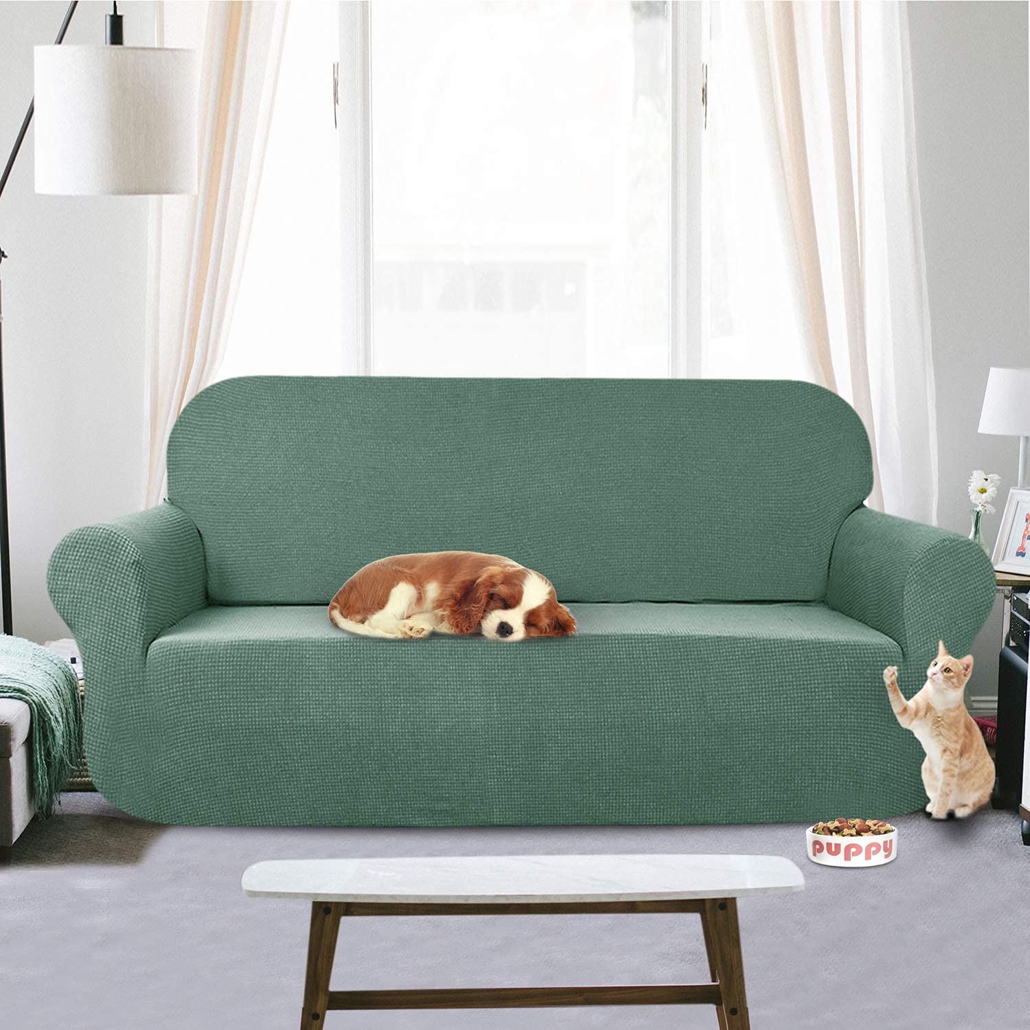 AUJOY Stretch Sofa Cover Water-Repellent Couch Covers Dog Cat Pet Proof Couch Slipcovers Protectors (Sofa, Pea Green)