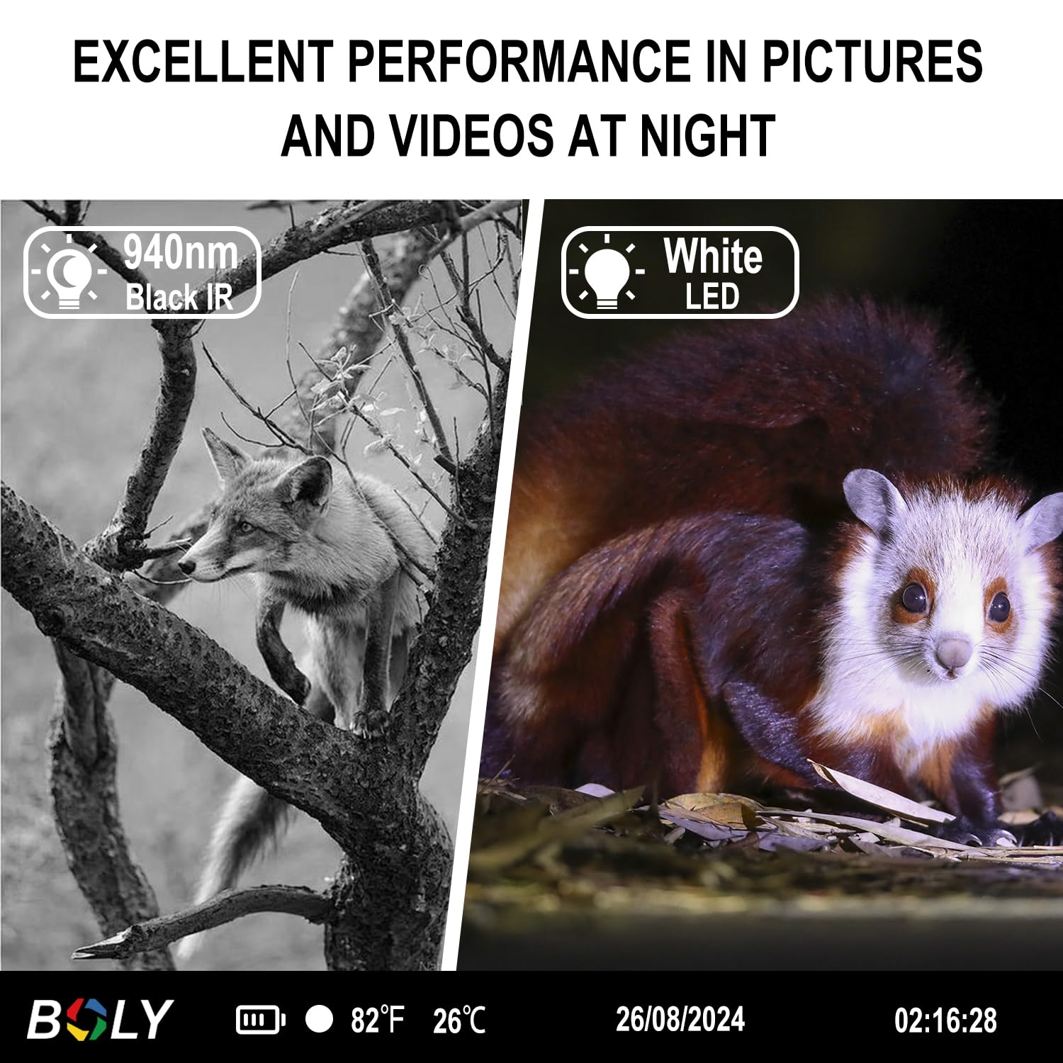 BolyGuard Fotopułapka 37 MP z niewidocznym światłem 940 nm i 850 nm – kamera do obserwacji dzikich zwierząt 4K Ultra HD do polowania i obserwacji dzikich zwierząt, wodoszczelność IP68, 32 GB