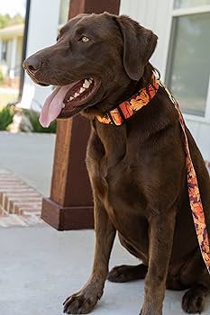 【XU DOG】boat neck damage tops カーキ XU DOG】boat neck damage tops カーキ