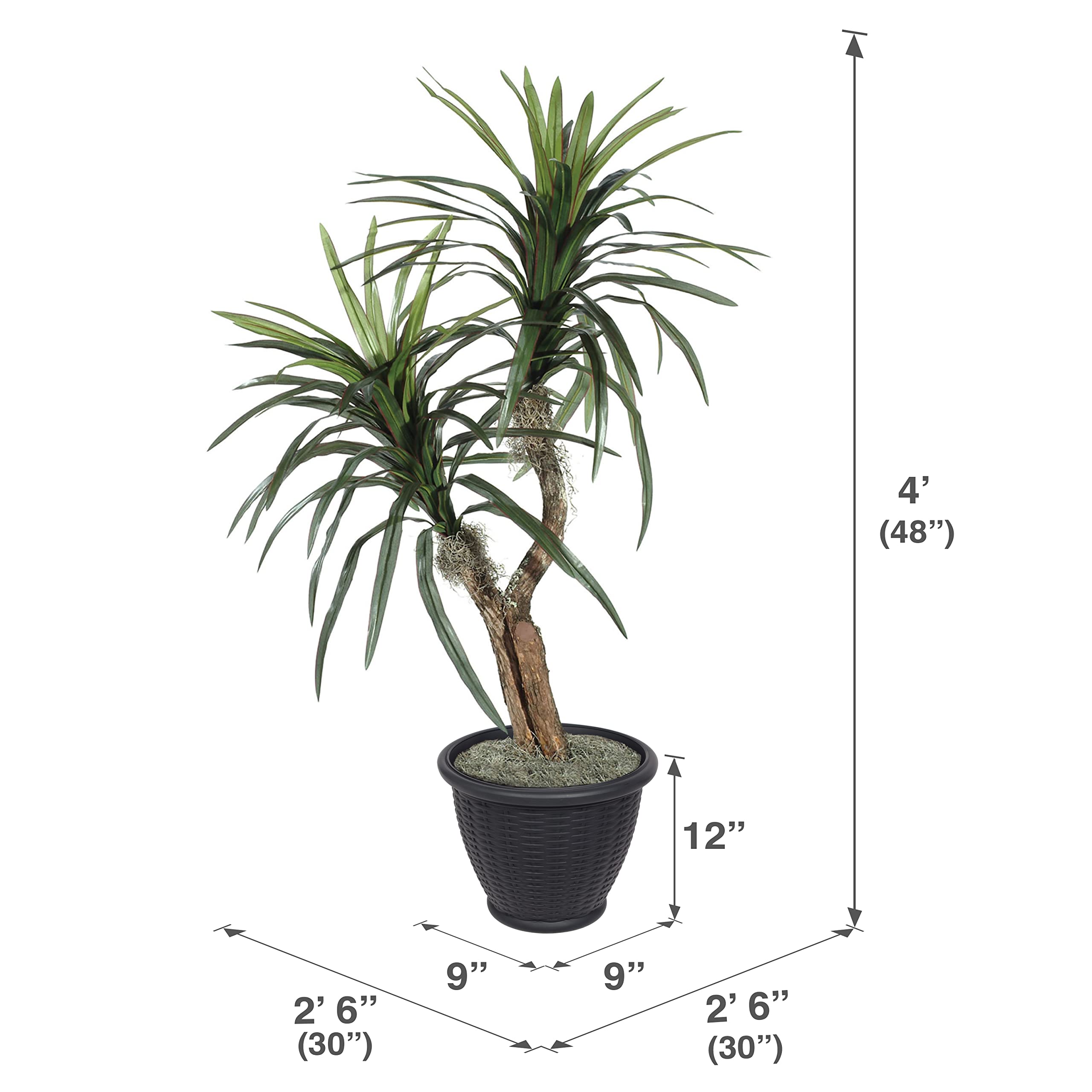 Vickerman 4' Indoor Artificial Marginata Bush, Gray Plastic Container.