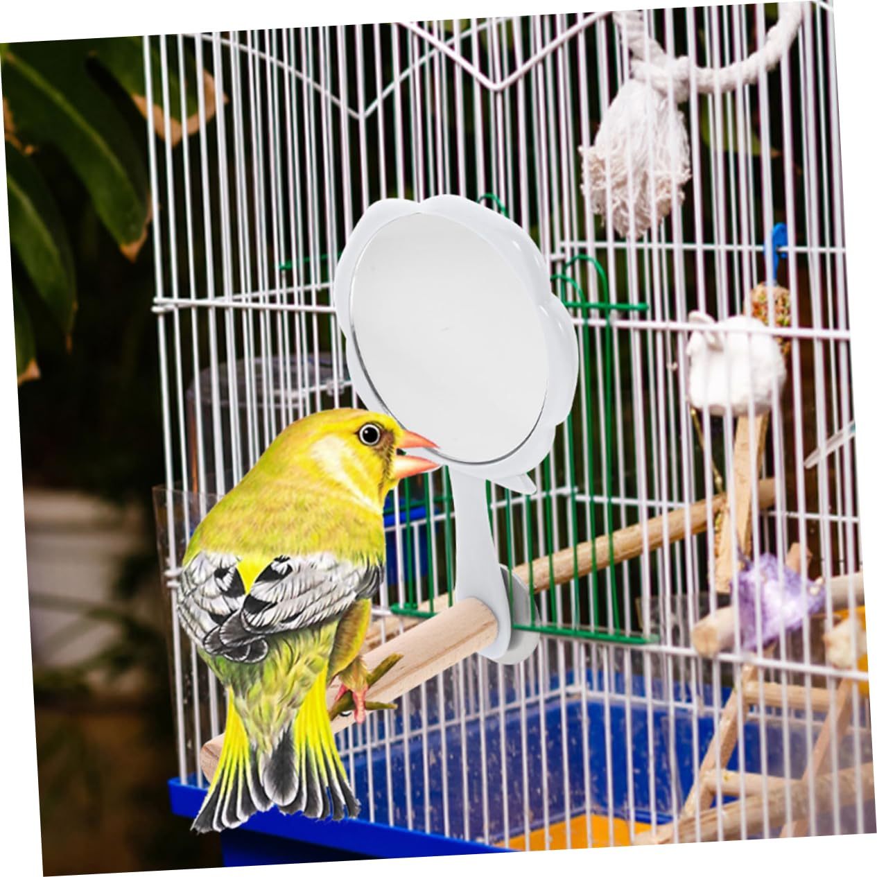 Yardwe 8 Piezas pájaro de Juguete Jaula periquitos Jaula para periquitos jaulas para periquitos Suministros para Aves Percha de Madera para Loros Accesorios para jaulas de pájaros