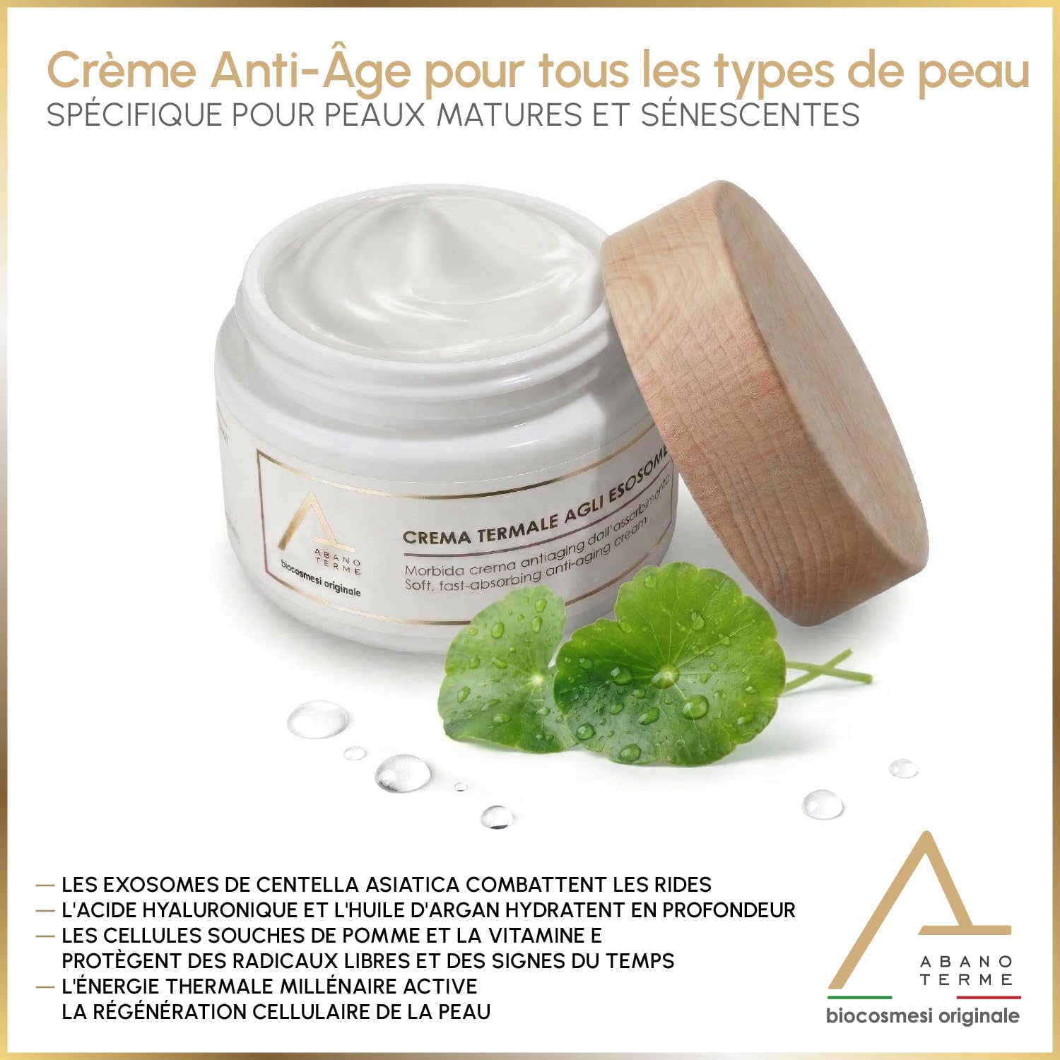 Crème Visage Anti-Rides Exosomes Centella Asiatica & Acide Hyaluronique 50ml BIO - Soin Régénérant Jour et Nuit, Cellules Souches de Pomme - Repulpant Rides Profondes Peaux Matures Femme Homme
