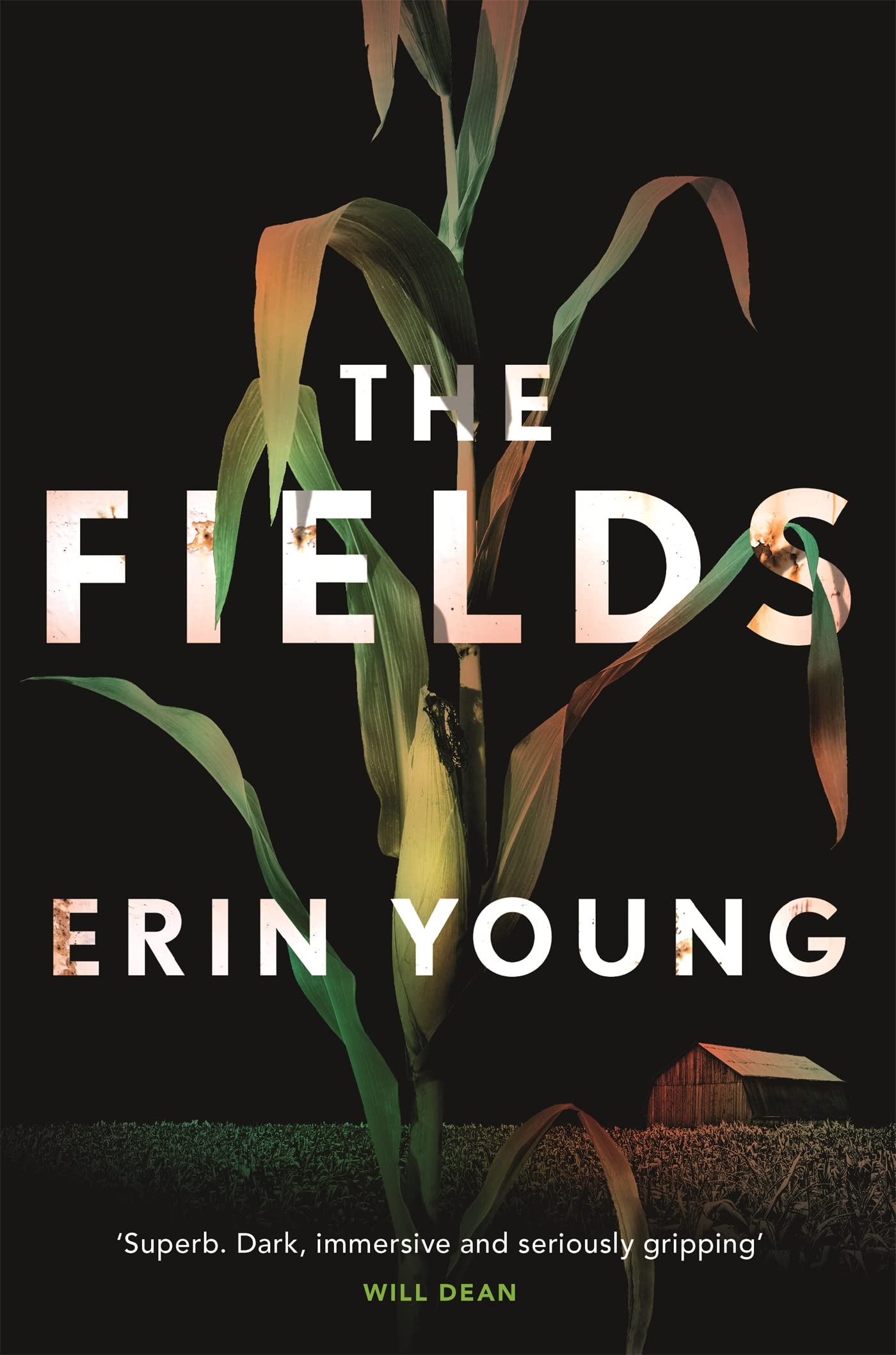 Erin Young The Fields Signed Goldsboro Limited Edition Hardback No.459/500