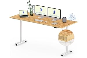 FLEXISPOT E6 Bamboo Dual Motor Standing Desk 72x30