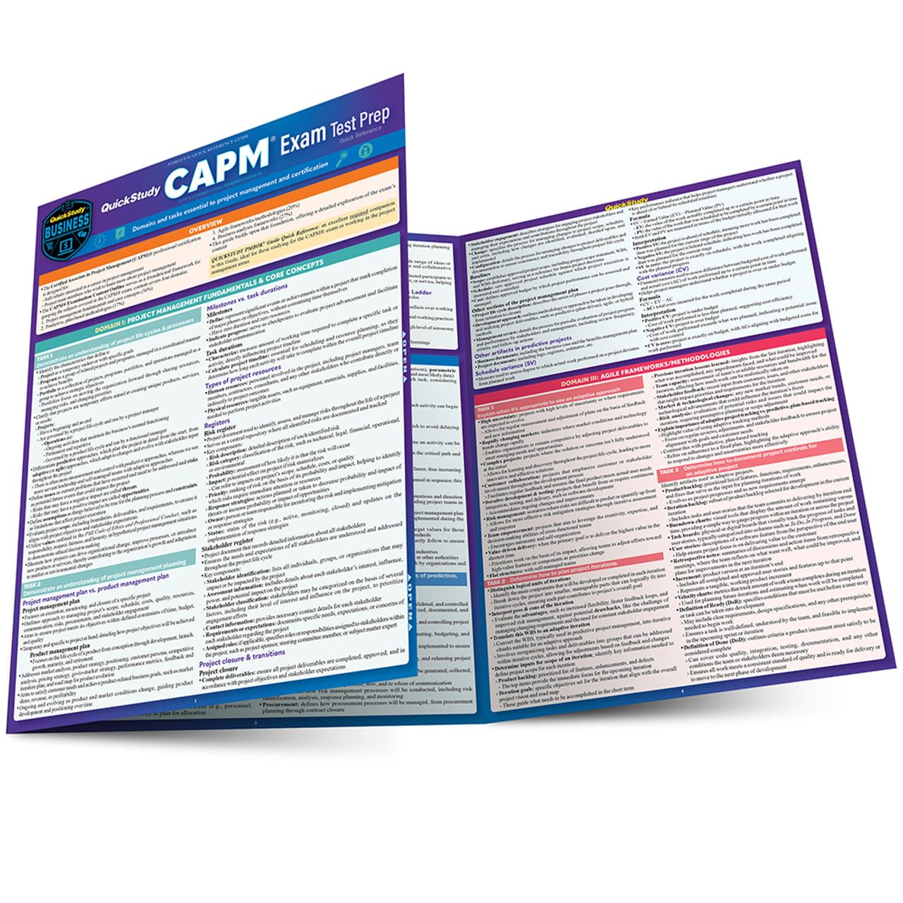 QuickStudy CAPM(r) Exam Test Prep: Laminated Reference Guide
