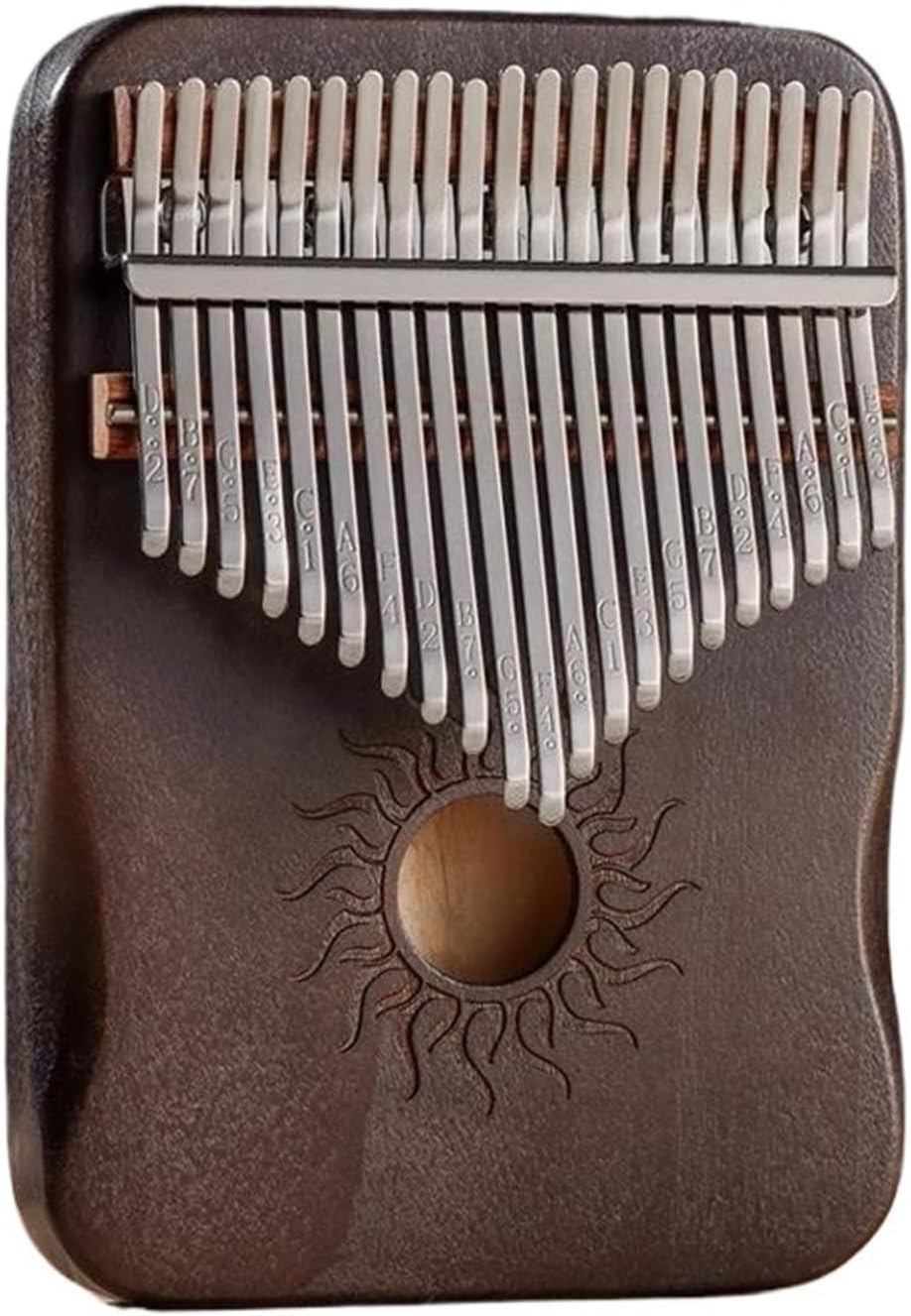 奄美大島産天然法螺貝 約28cm 奄美大島産天然法螺貝 約28cm 天然 法螺貝 28cm 奄美大島産 蓋付き