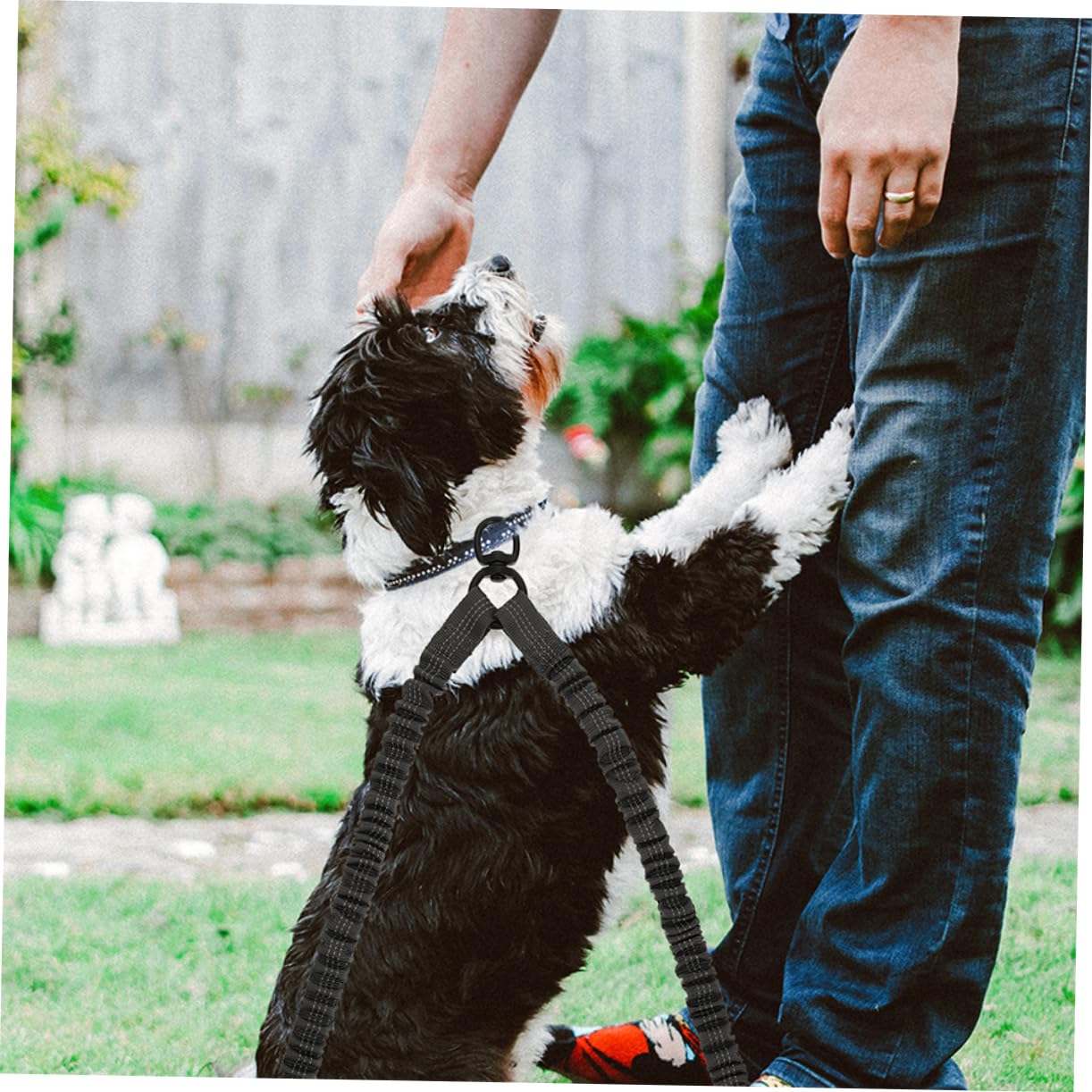 Laisse Double pour Chiens à Double Tête, 3 Pièces, Polyester | Acier Inoxydable, pour Promenade et Extérieur, Design Ergonomique, Résistance à Rupture