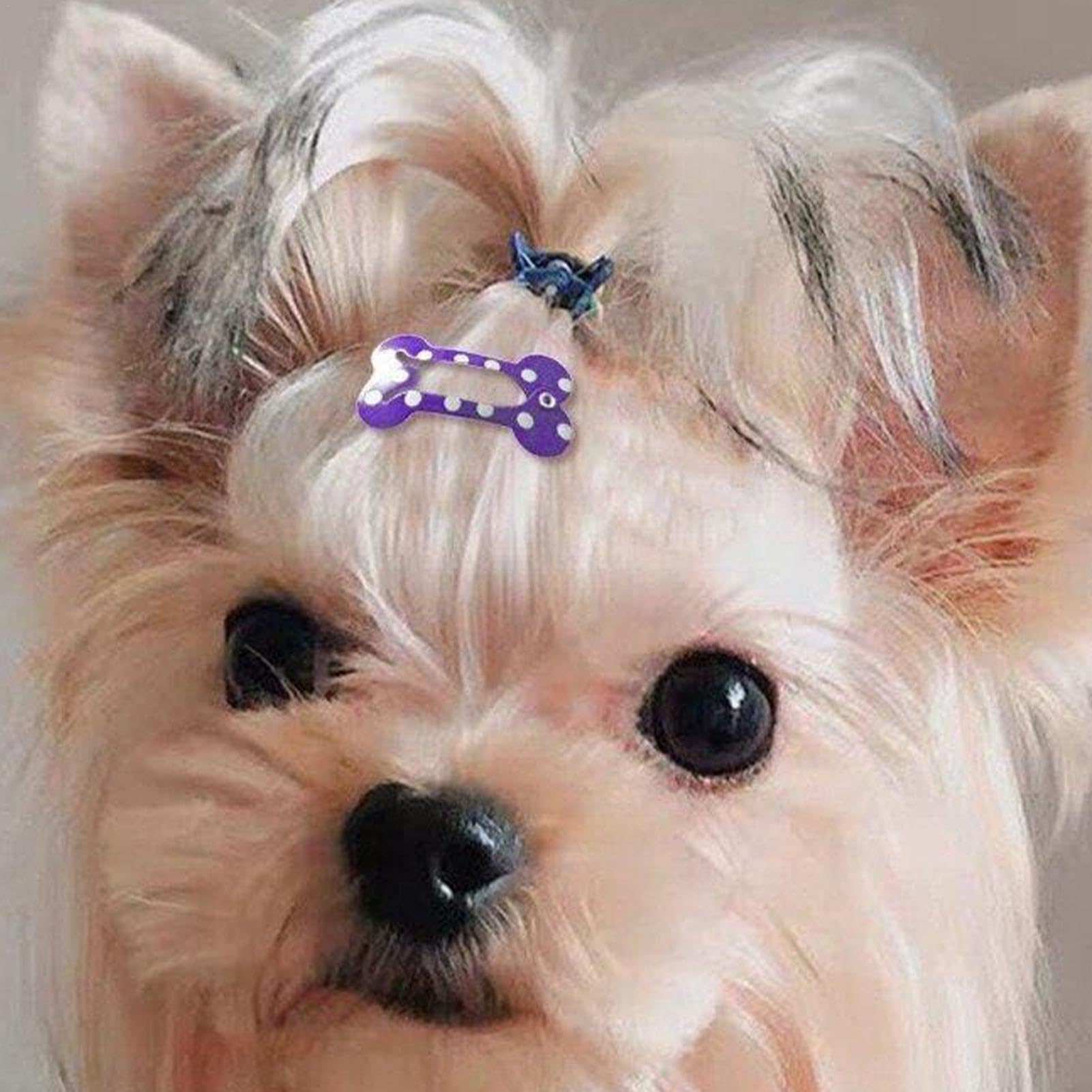 Amazon | ボーンヘアクリップ 犬や猫用 10個 骨の形 犬用 ヘア